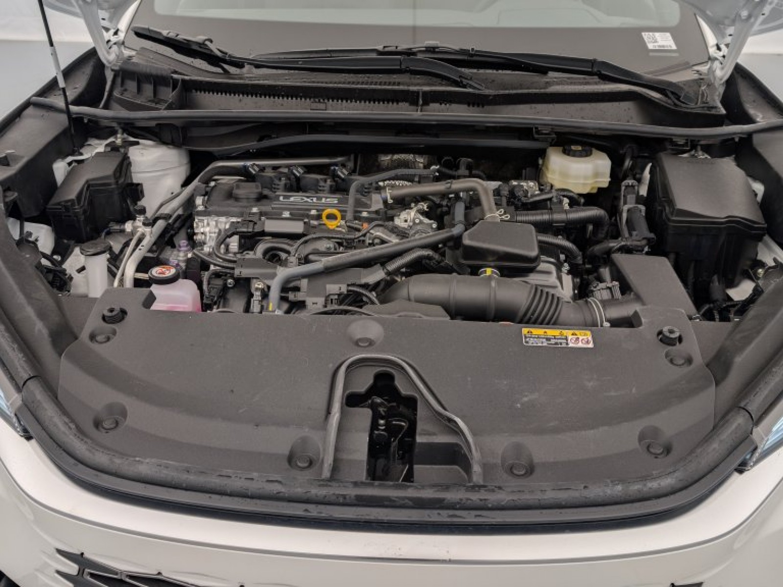 LEXUS - LBX - #637866 - 17