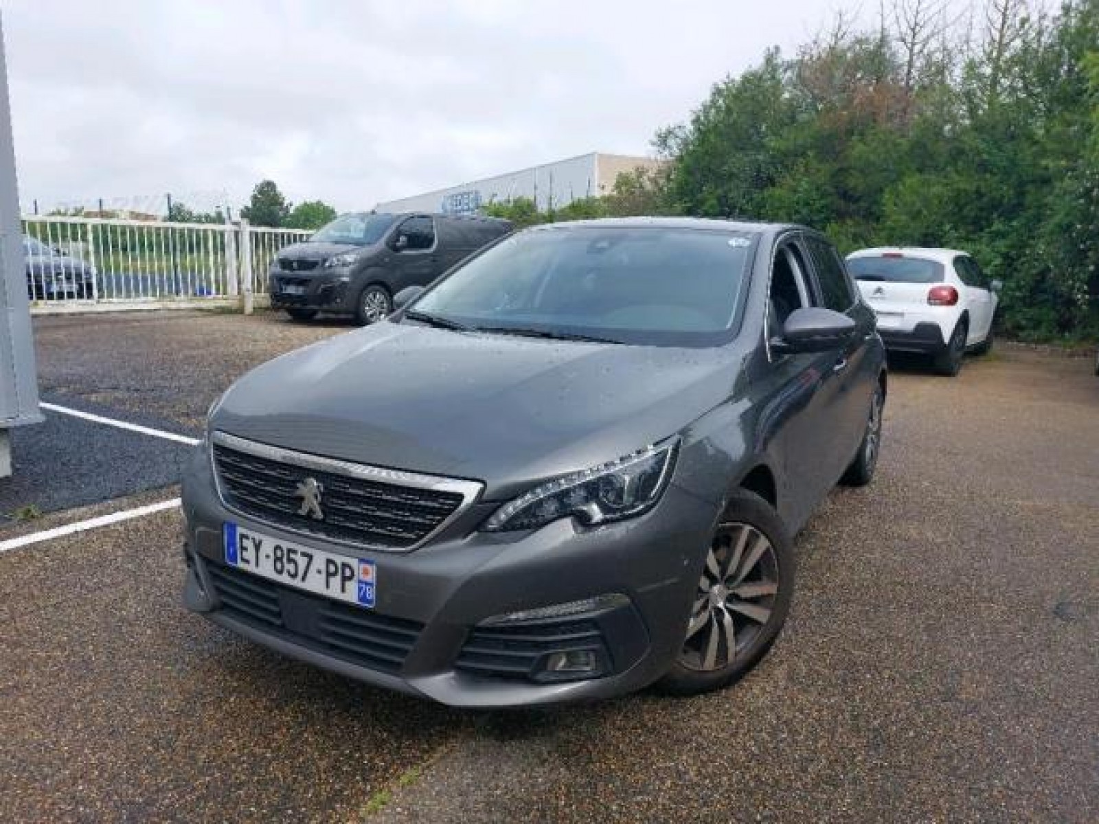 PEUGEOT - 308 BUSINESS - #172612 - 0