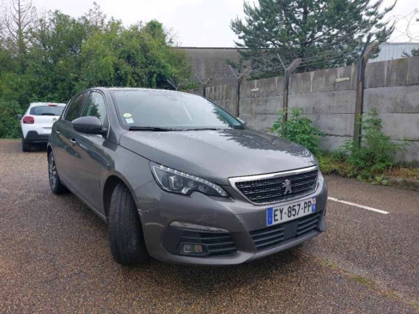PEUGEOT - 308 BUSINESS - #172612 - 1