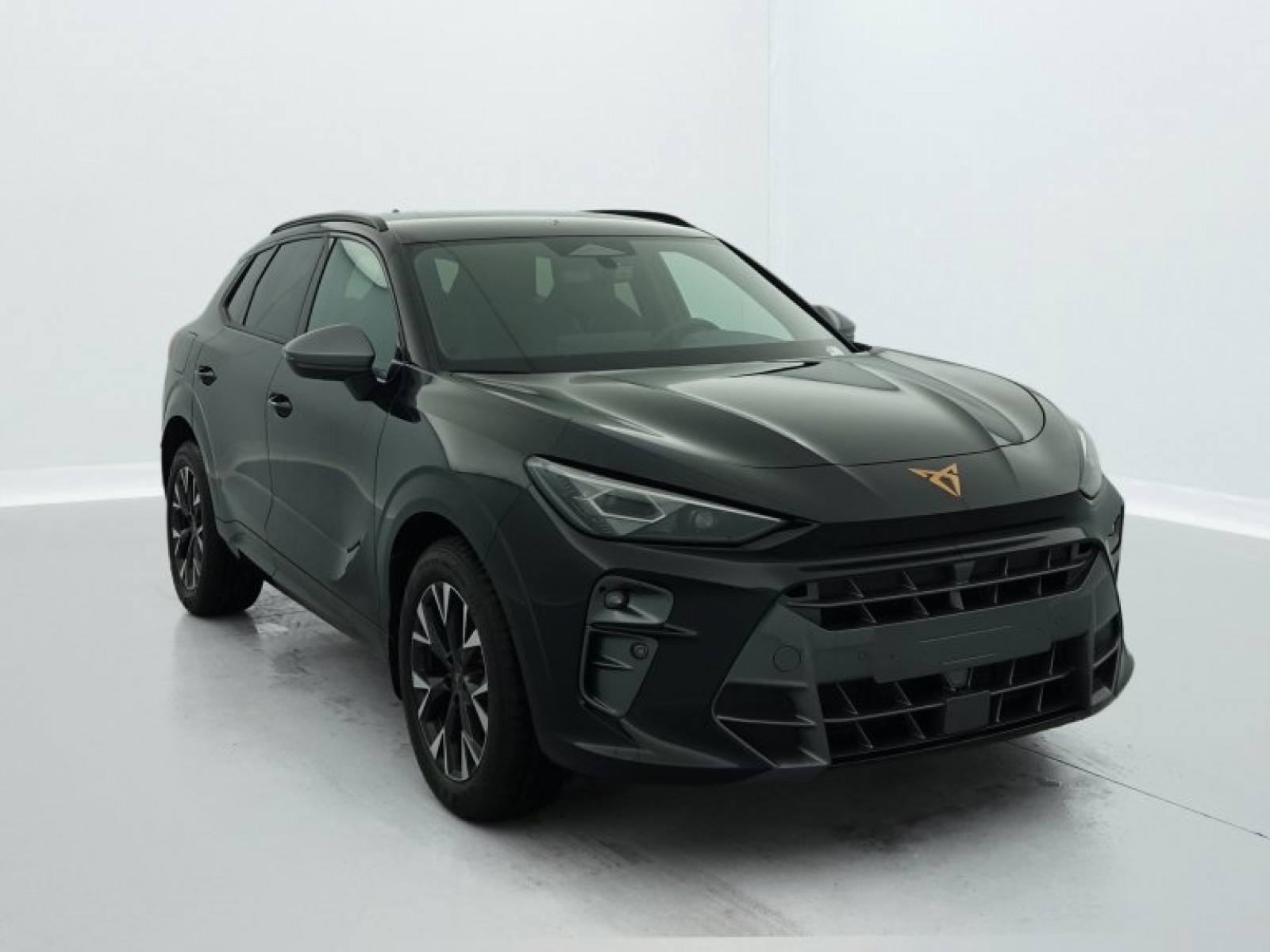 CUPRA - Terramar - #694381 - 0