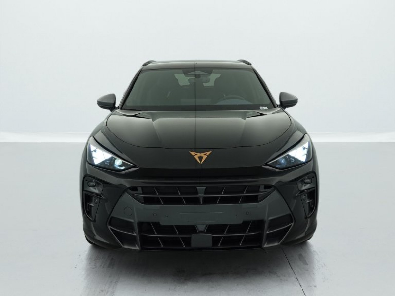CUPRA - Terramar - #694381 - 1