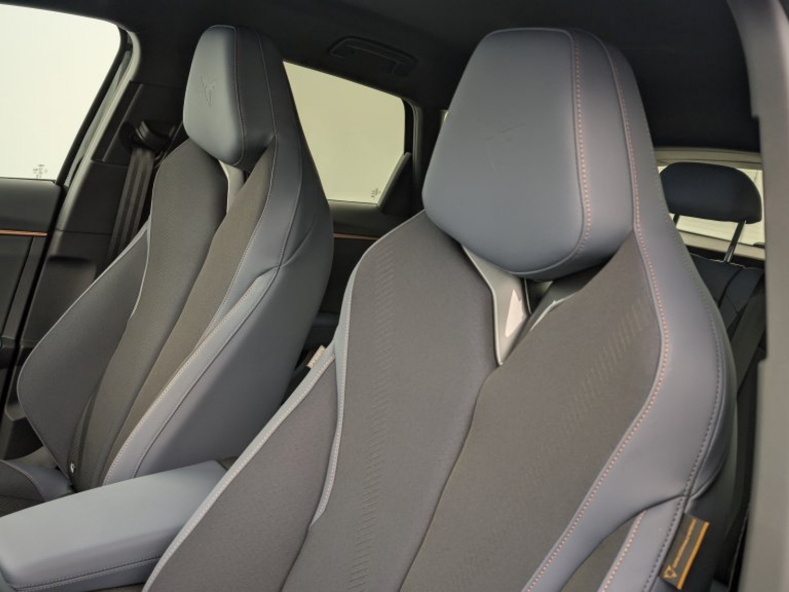 CUPRA - Terramar - #694381 - 13