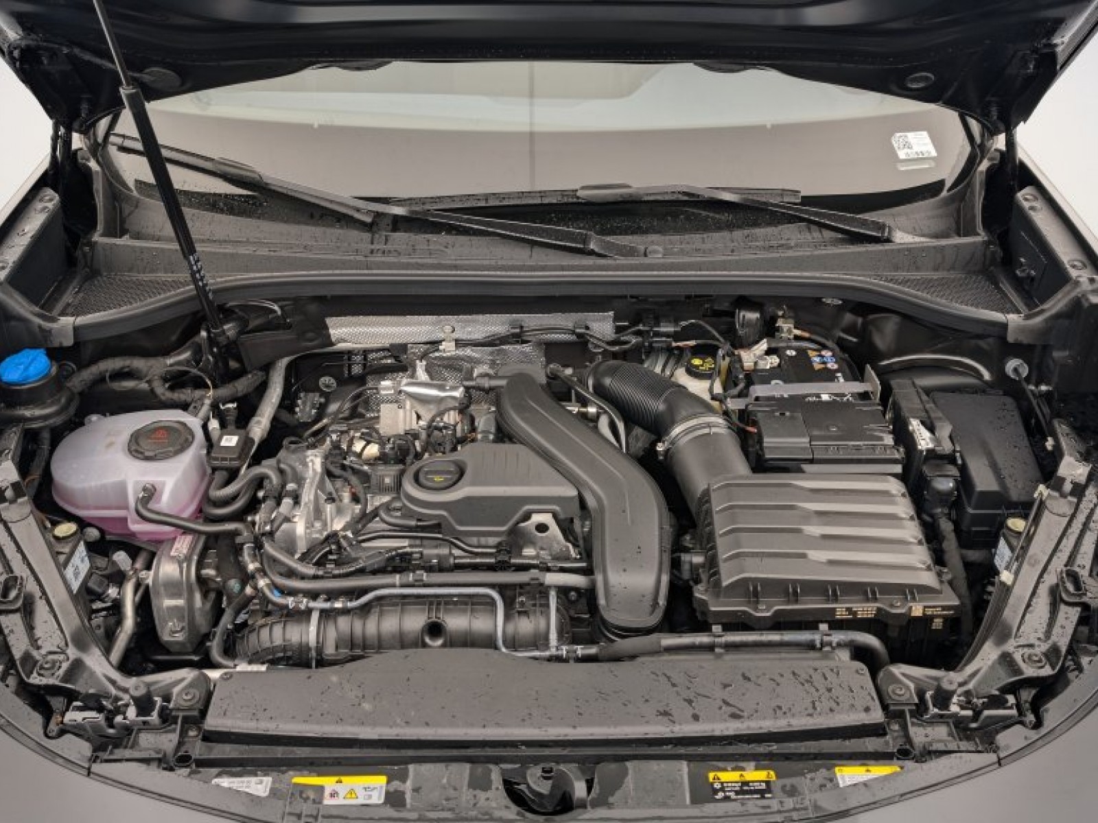 CUPRA - Terramar - #694381 - 18