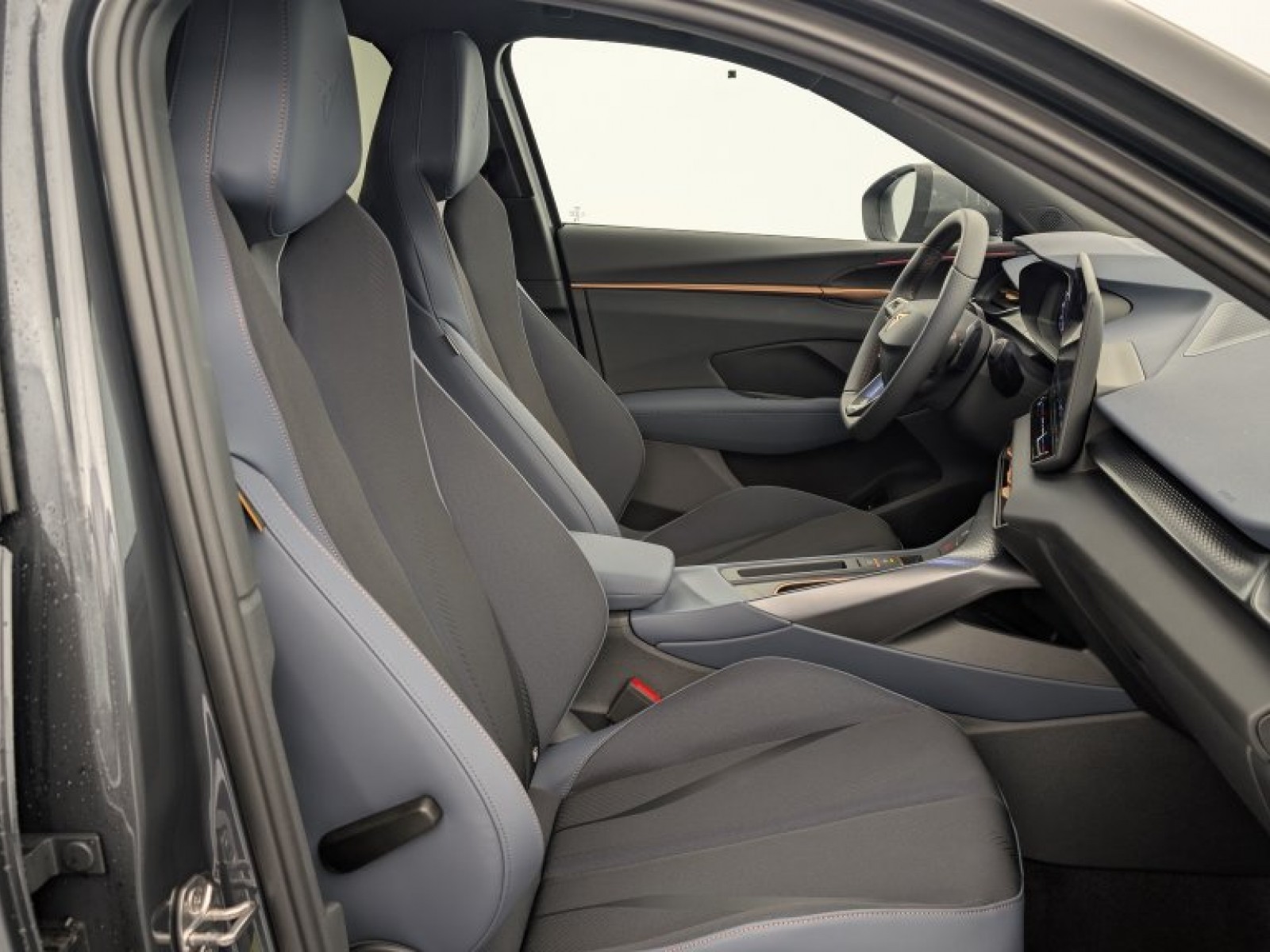 CUPRA - Terramar - #694386 - 6