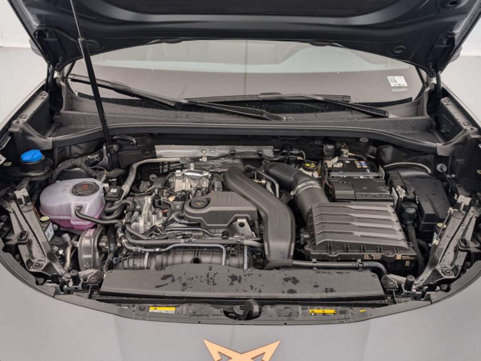 CUPRA - Terramar - #694386 - 18