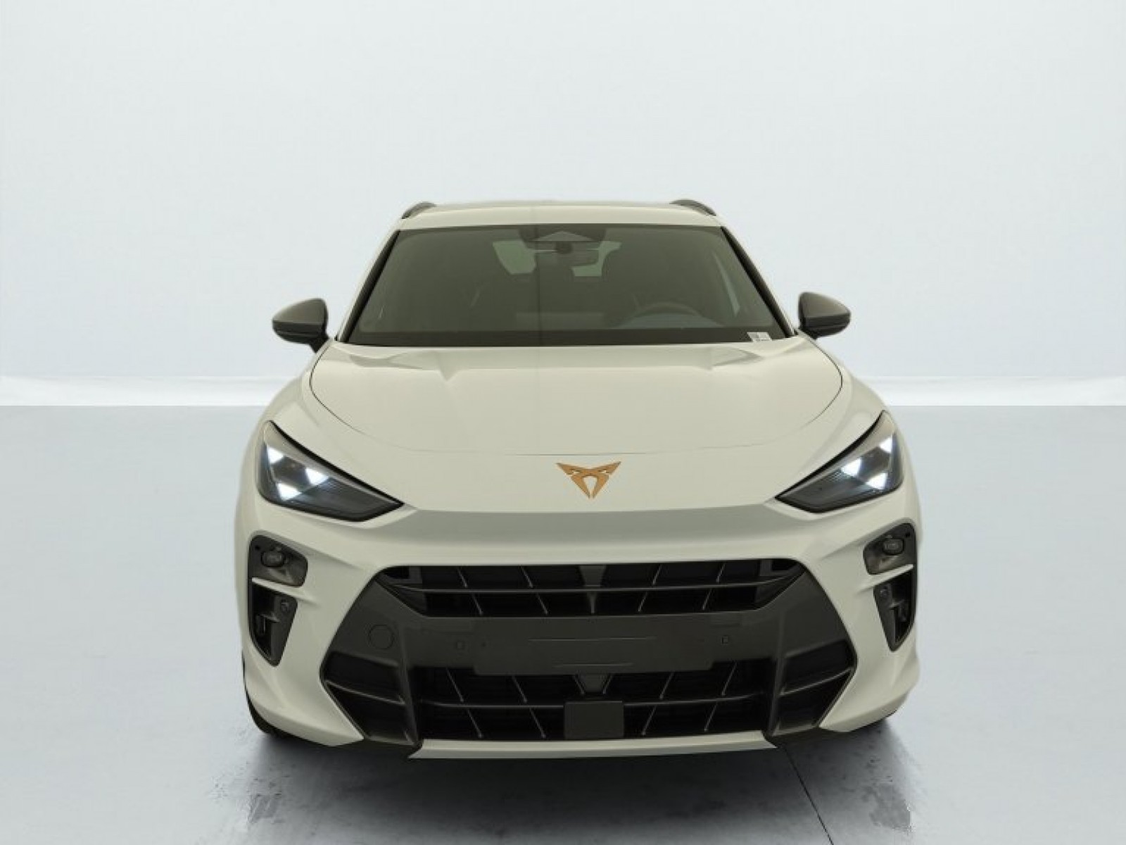 CUPRA - Terramar - #451281 - 2