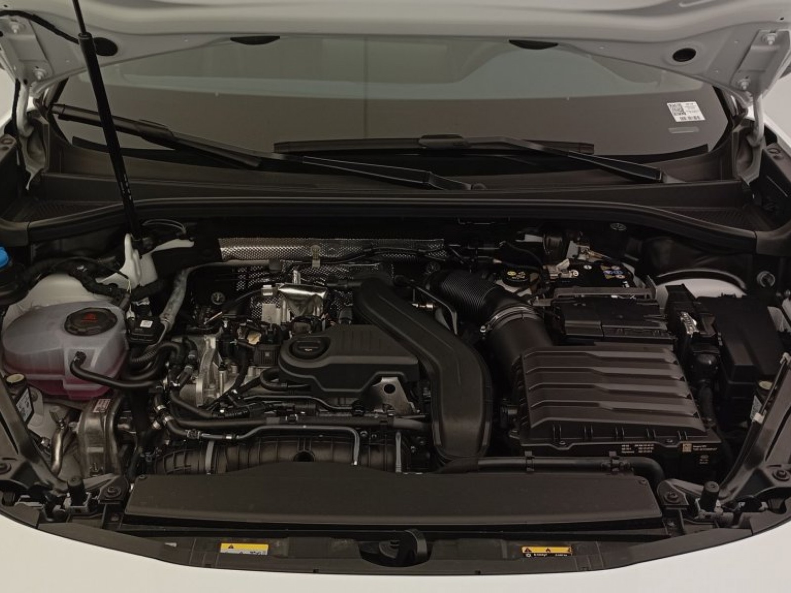 CUPRA - Terramar - #451281 - 48