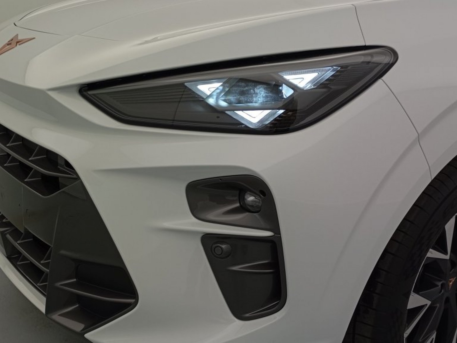 CUPRA - Terramar - #451281 - 50