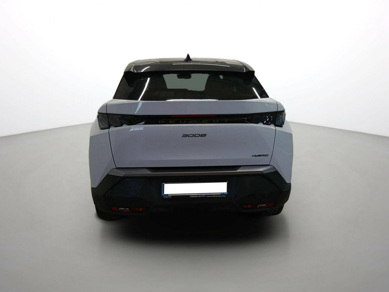 PEUGEOT - 3008 - #637561 - 5