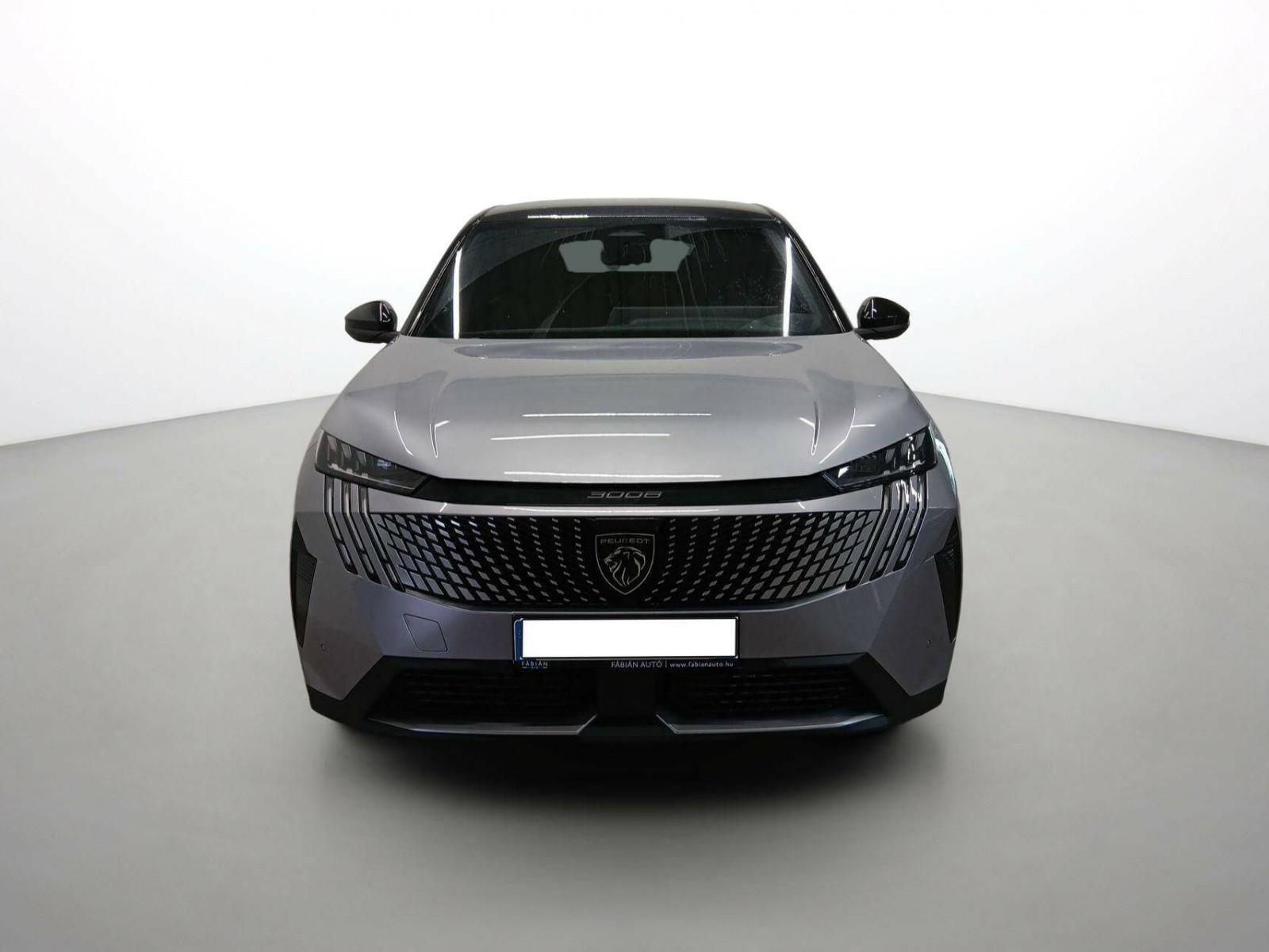 PEUGEOT - 3008 - #637559 - 4