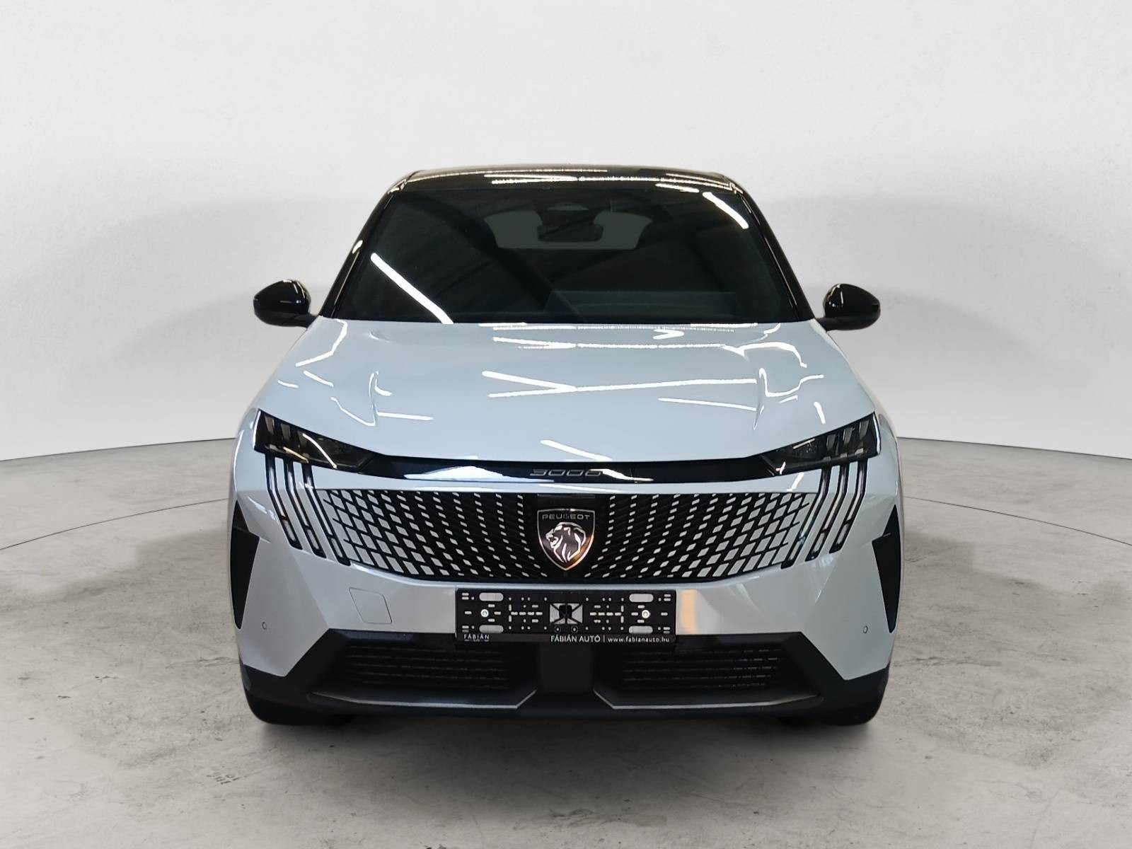 PEUGEOT - 3008 - #543337 - 4