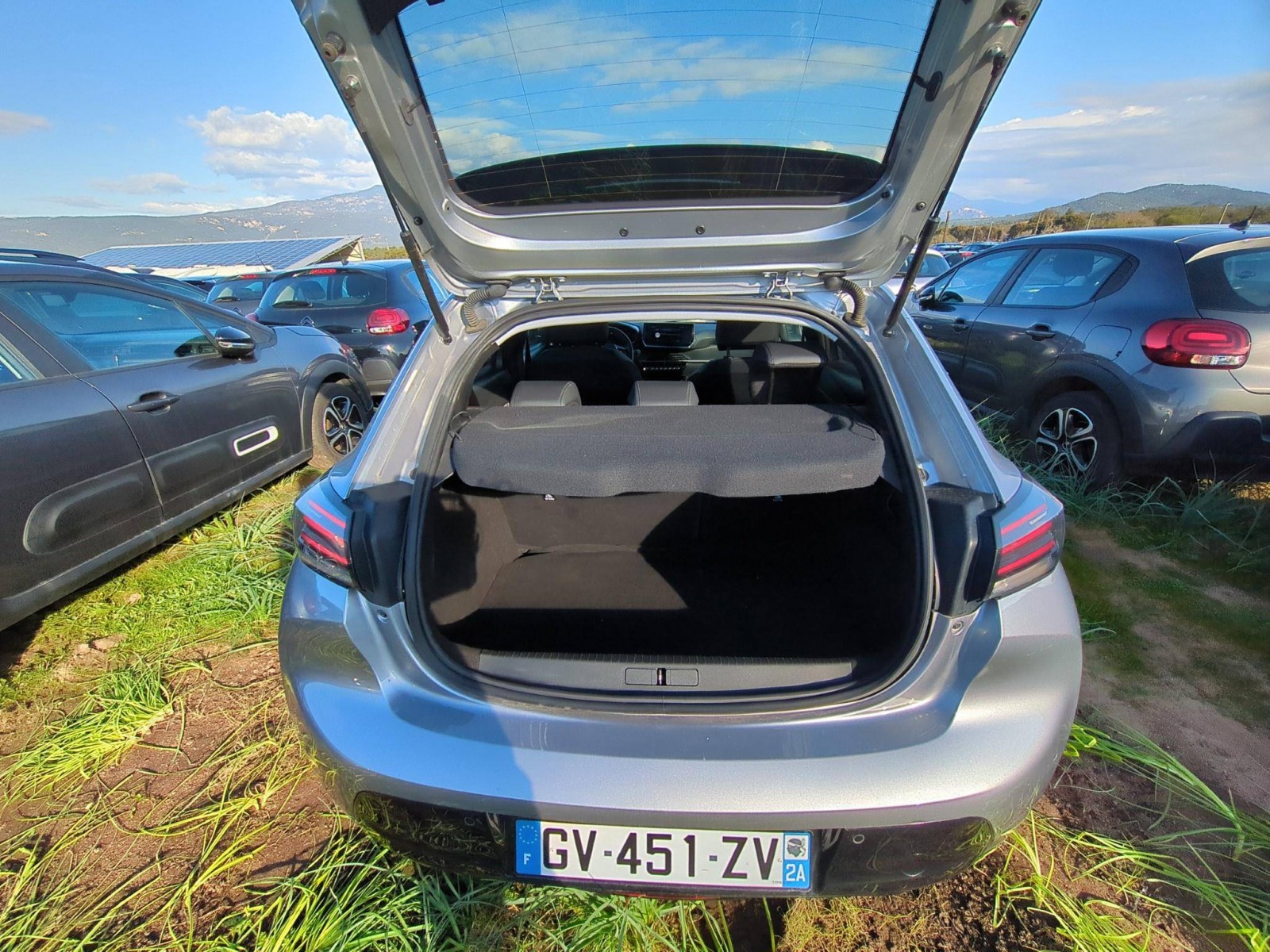 PEUGEOT - 208 - #807198 - 3