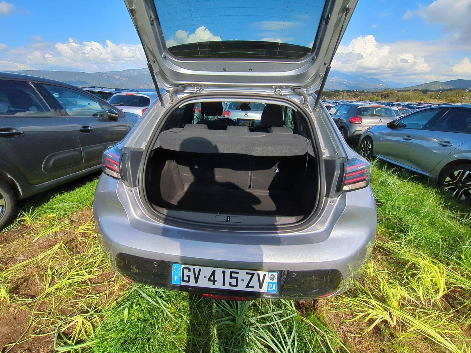 PEUGEOT - 208 - #807201 - 3