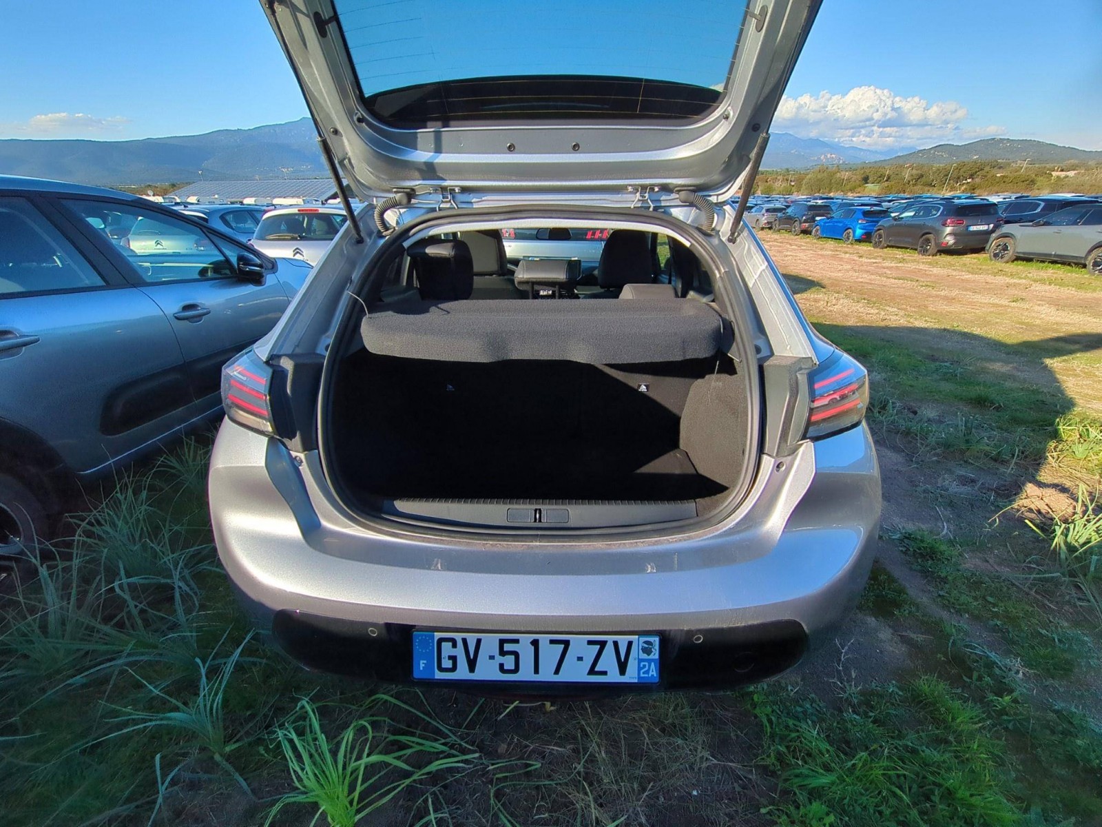 PEUGEOT - 208 - #807207 - 3
