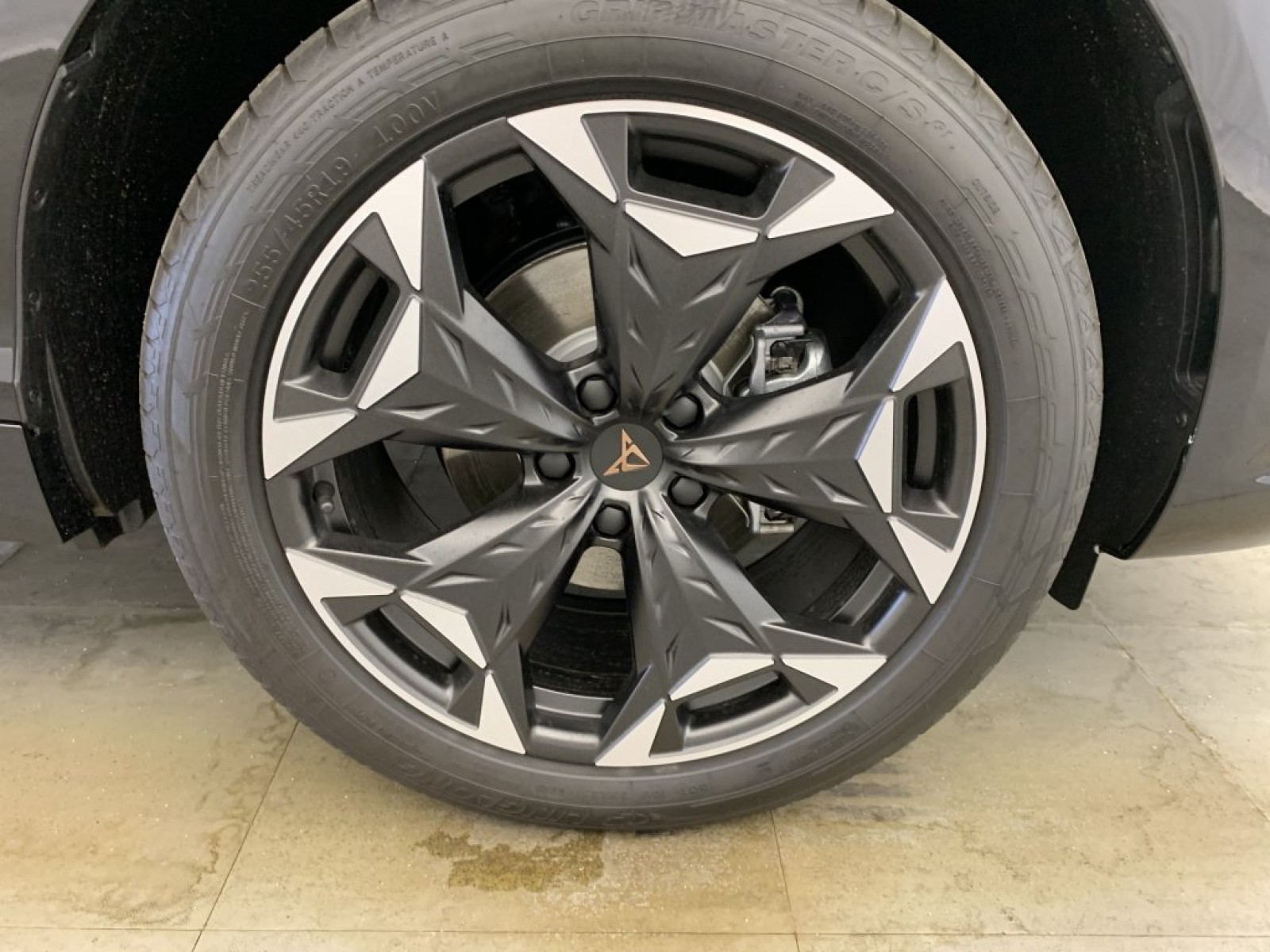CUPRA - Terramar - #790870 - 13