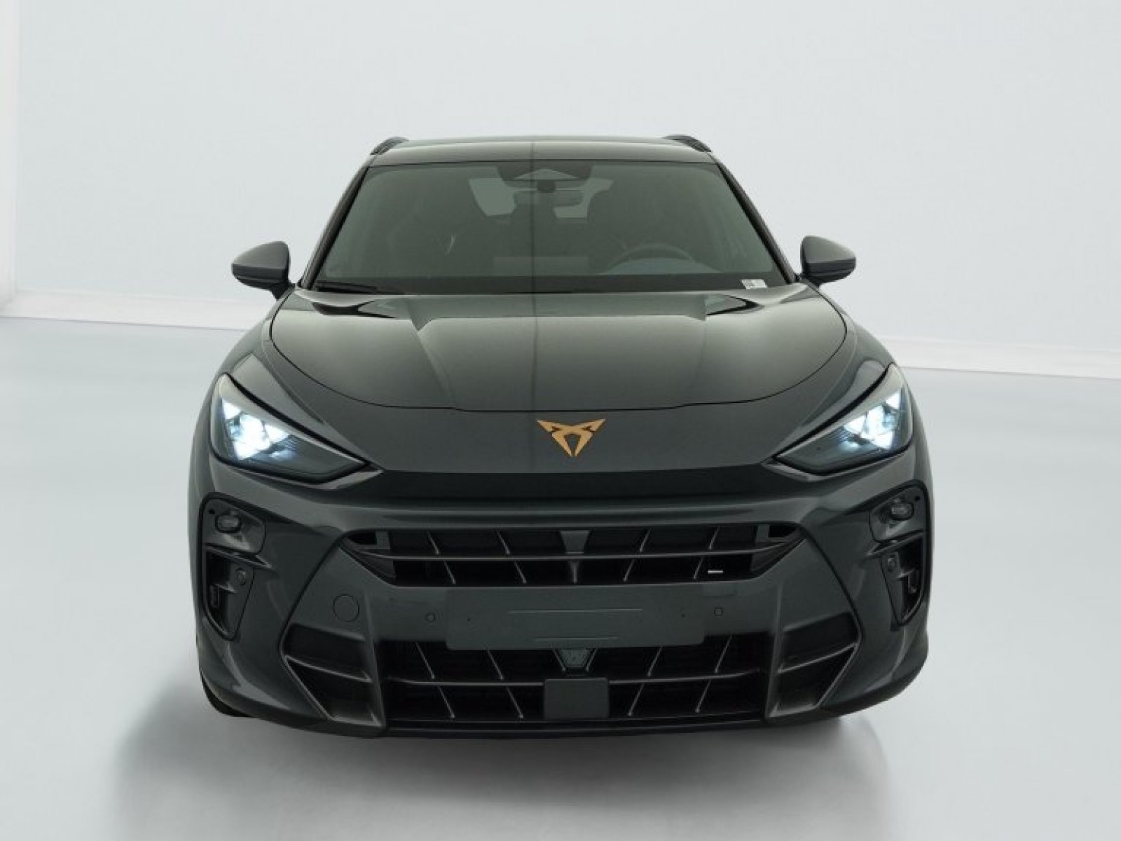 CUPRA - Terramar - #694383 - 1