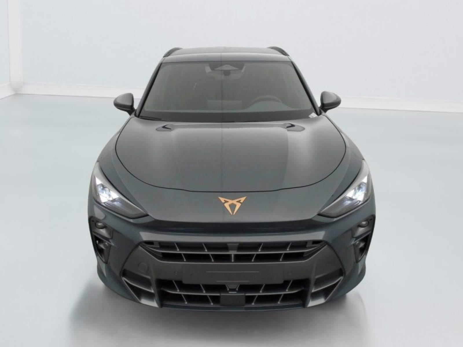 CUPRA - Terramar - #790863 - 1