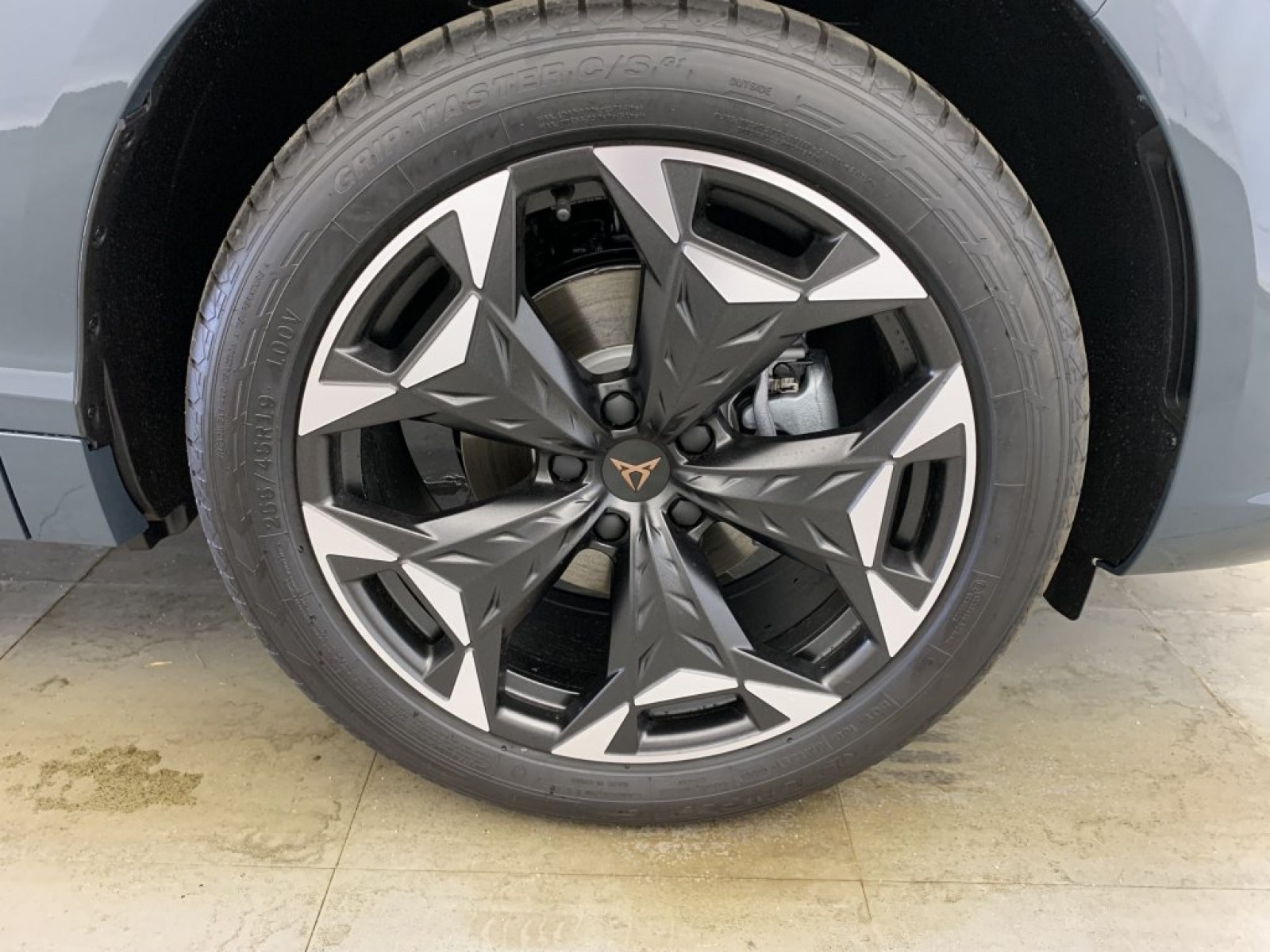 CUPRA - Terramar - #790863 - 13