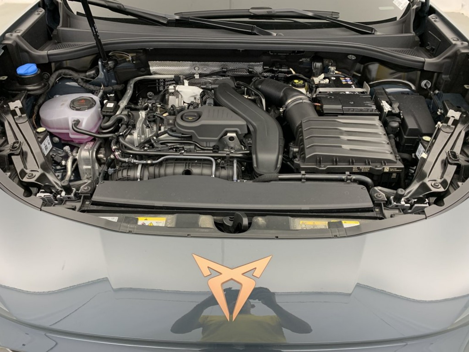 CUPRA - Terramar - #790863 - 15