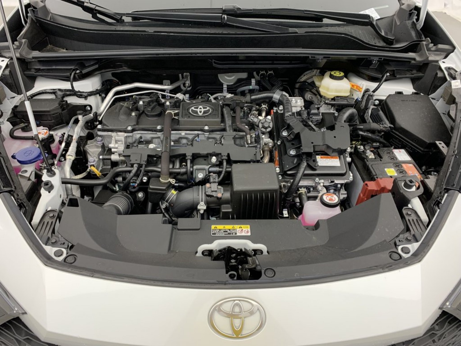 TOYOTA - C-HR - #794382 - 16