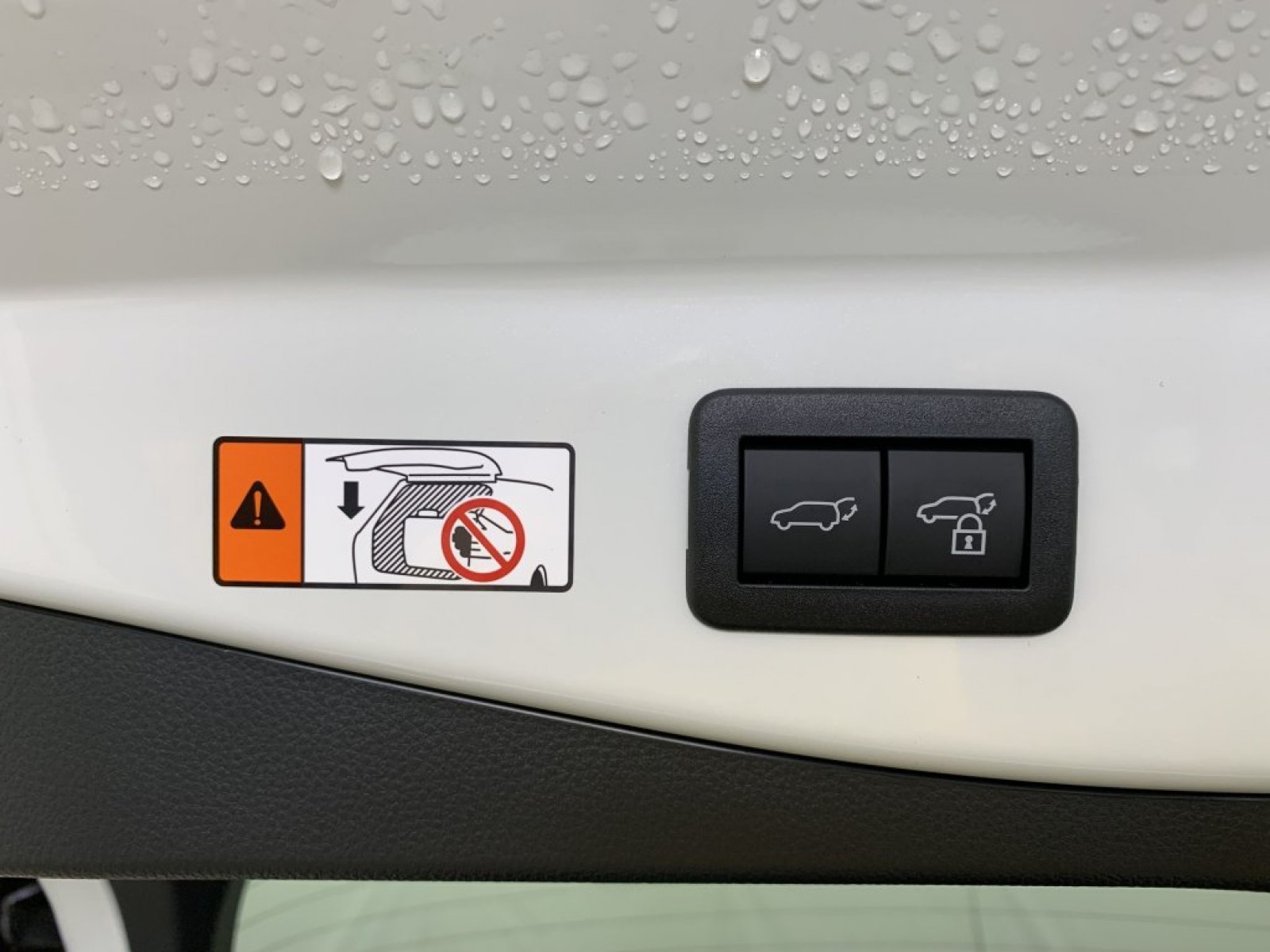 TOYOTA - C-HR - #794382 - 17