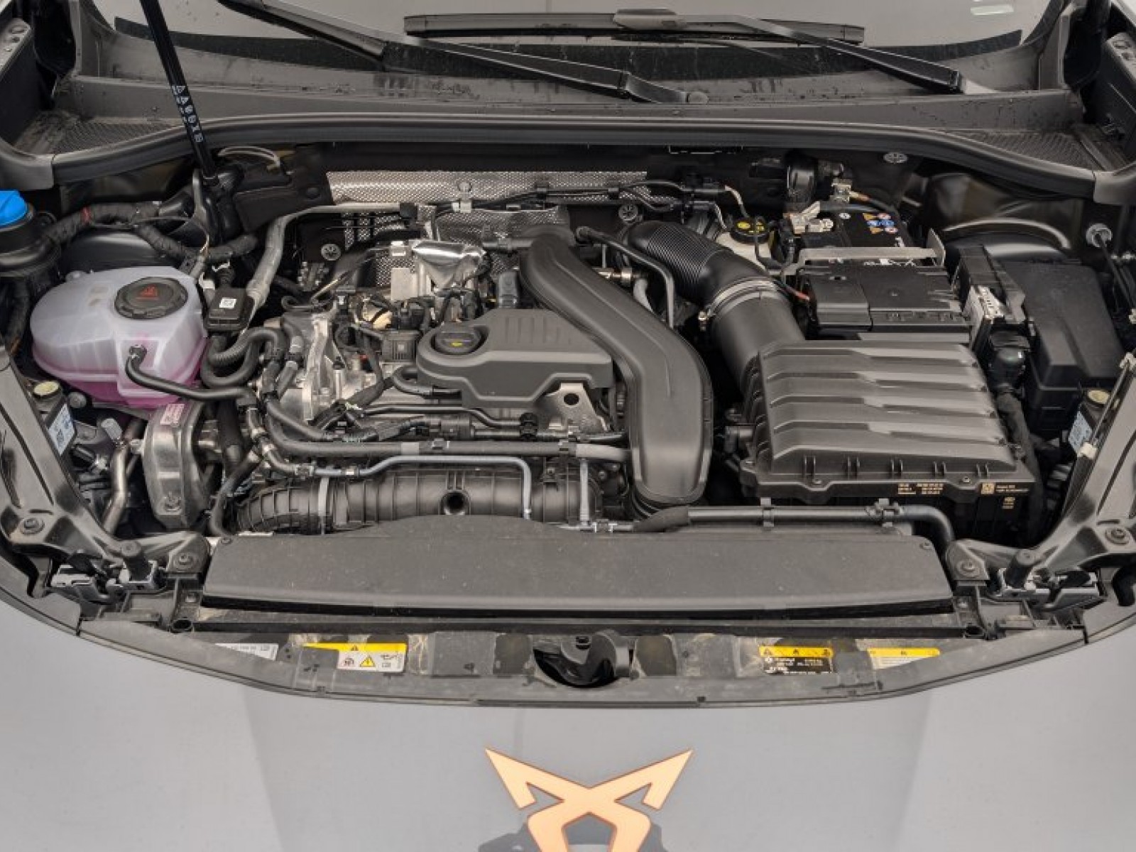 CUPRA - Terramar - #694383 - 22