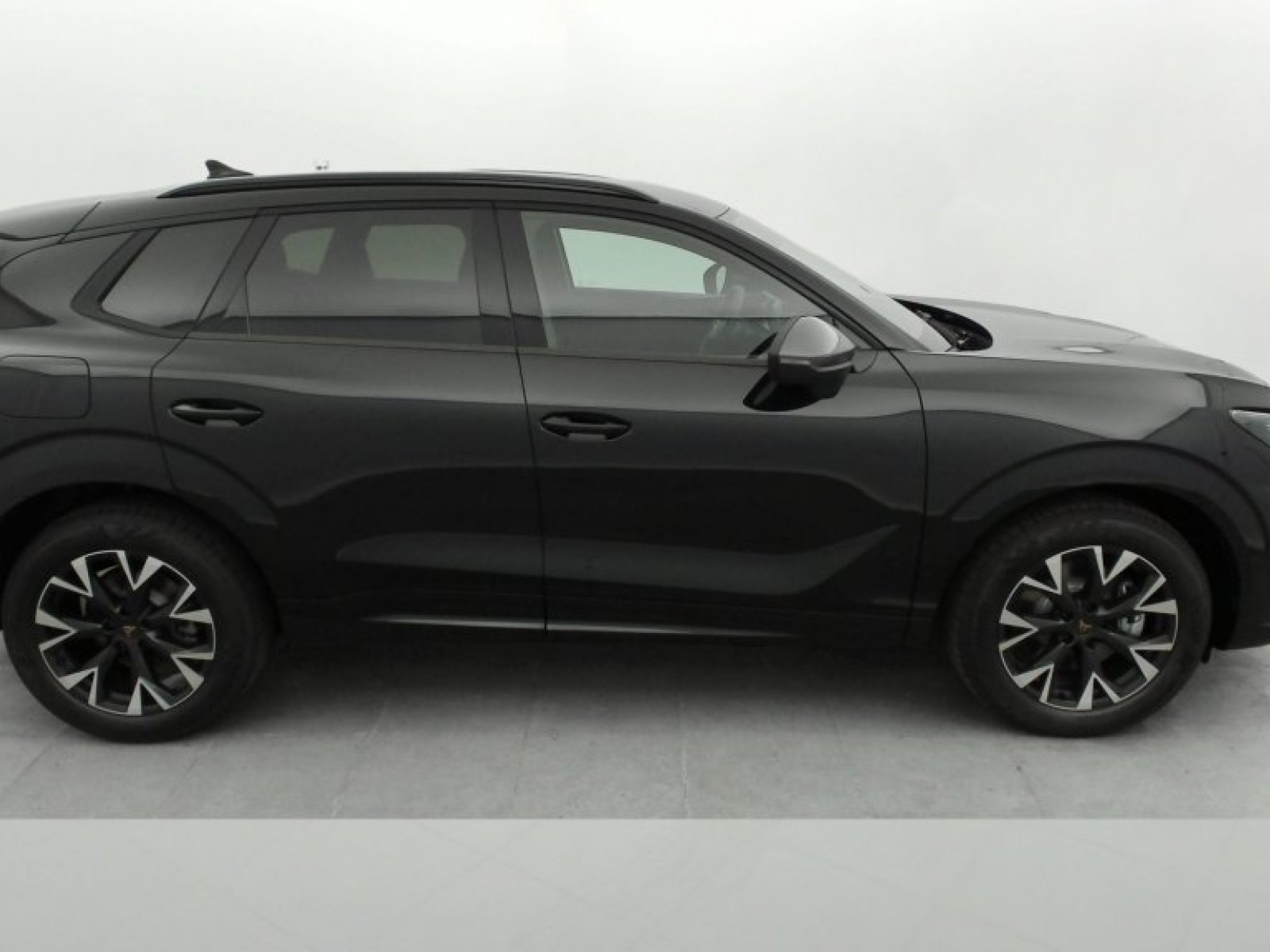 CUPRA - Terramar - #836506 - 15