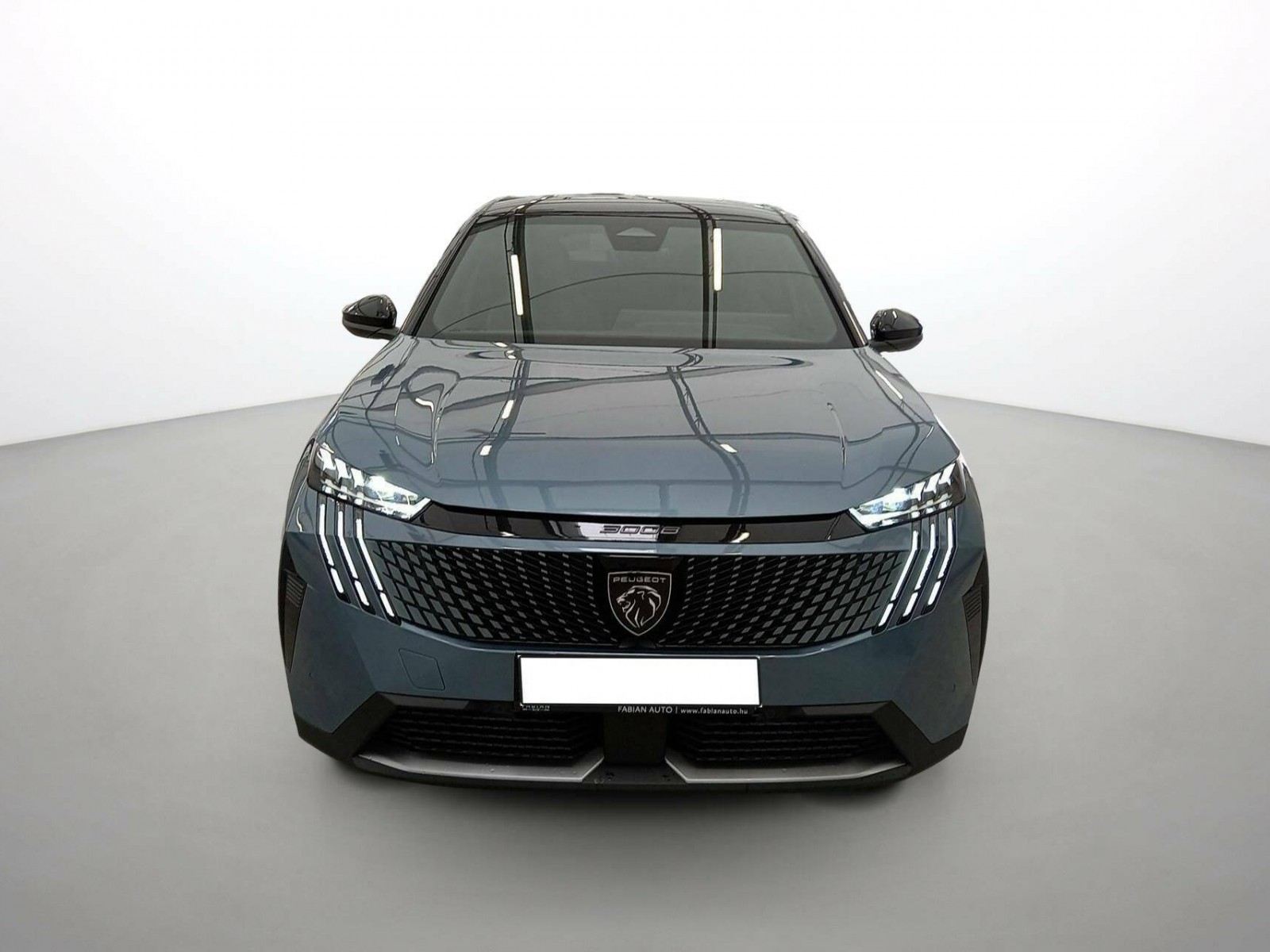 PEUGEOT - 3008 - #543322 - 2