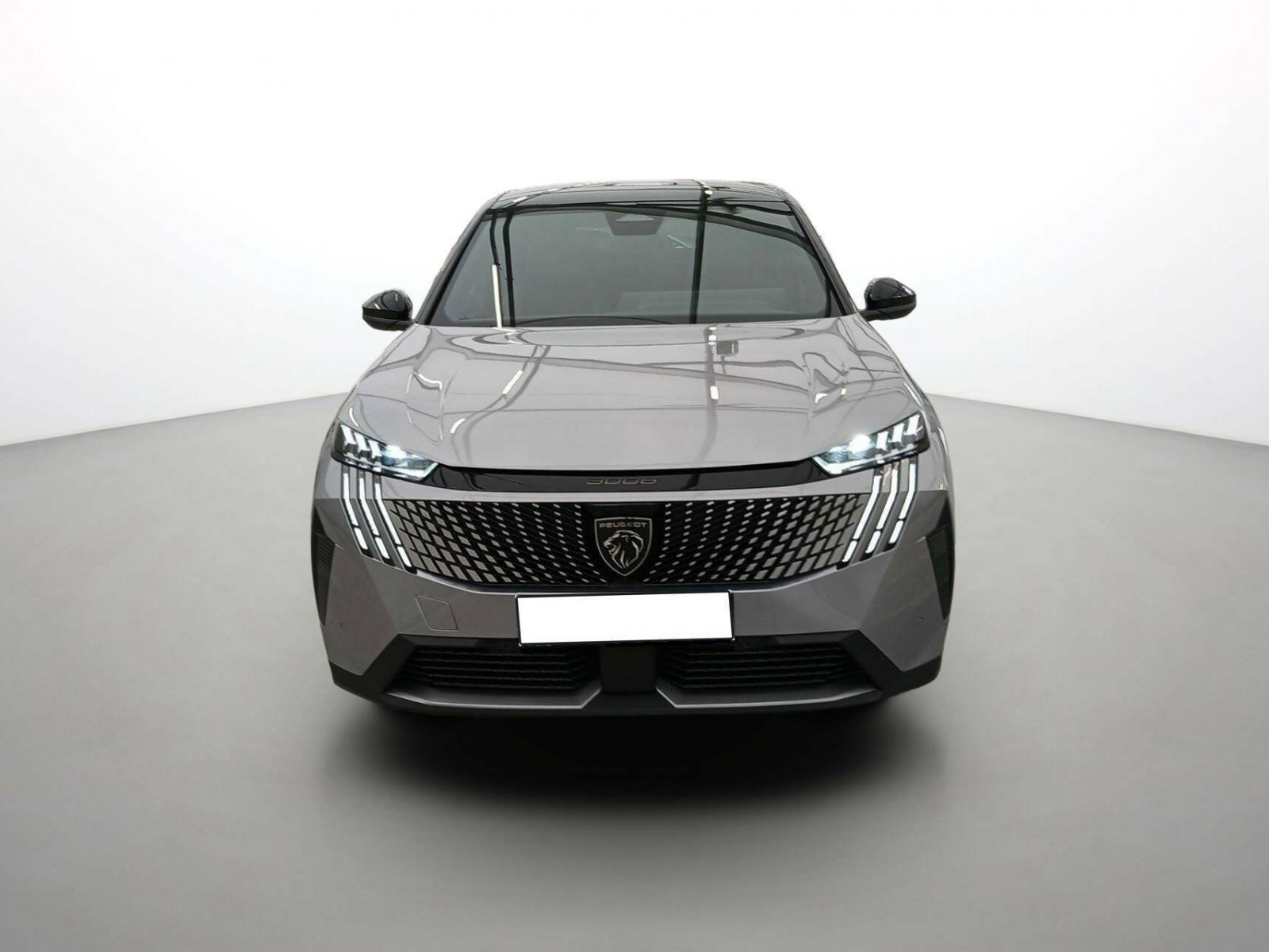 PEUGEOT - 3008 - #543334 - 11