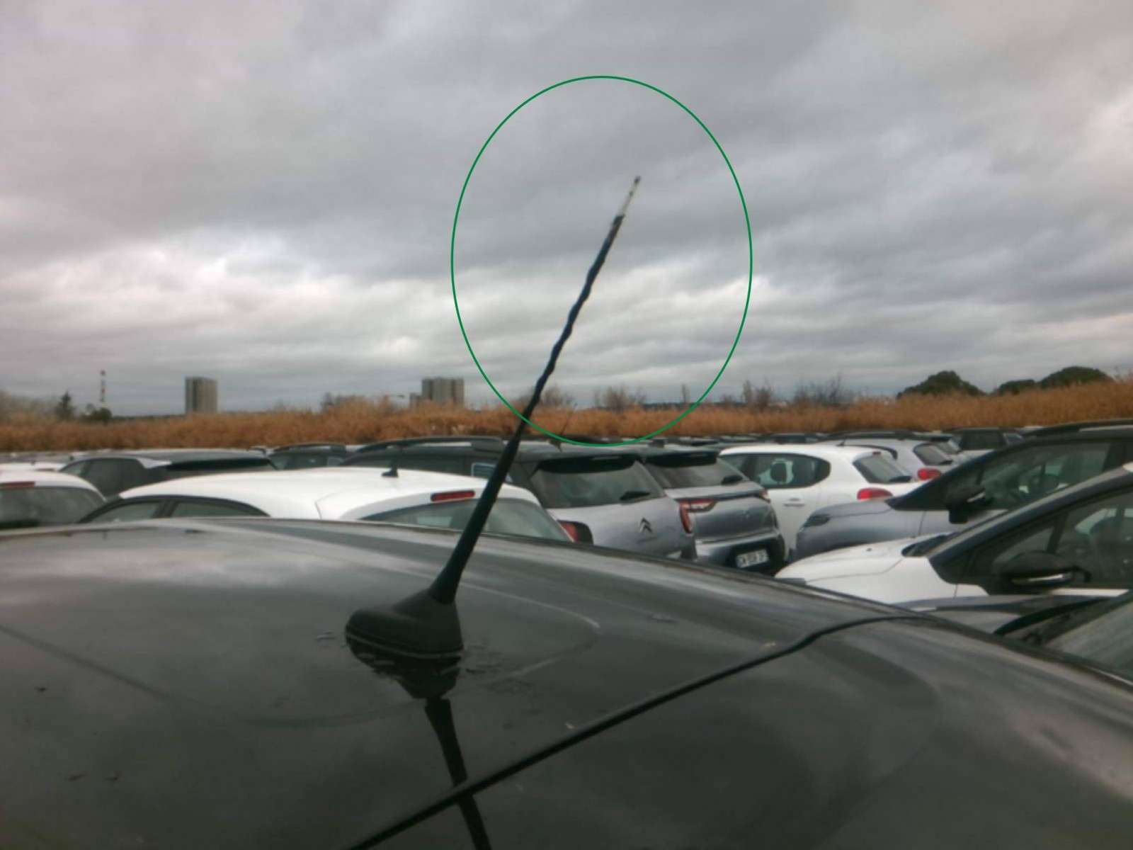 CITROEN - C3 - #836341 - 10