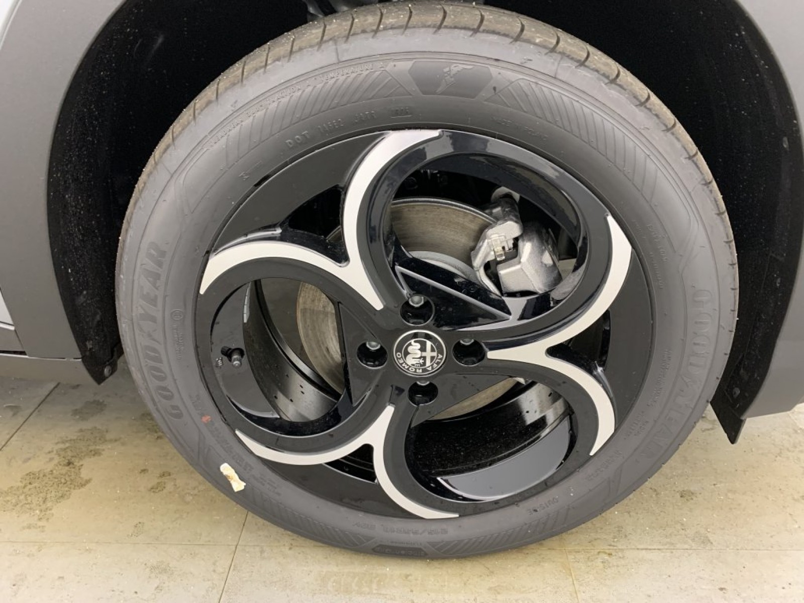 ALFA ROMEO - Junior - #839675 - 13