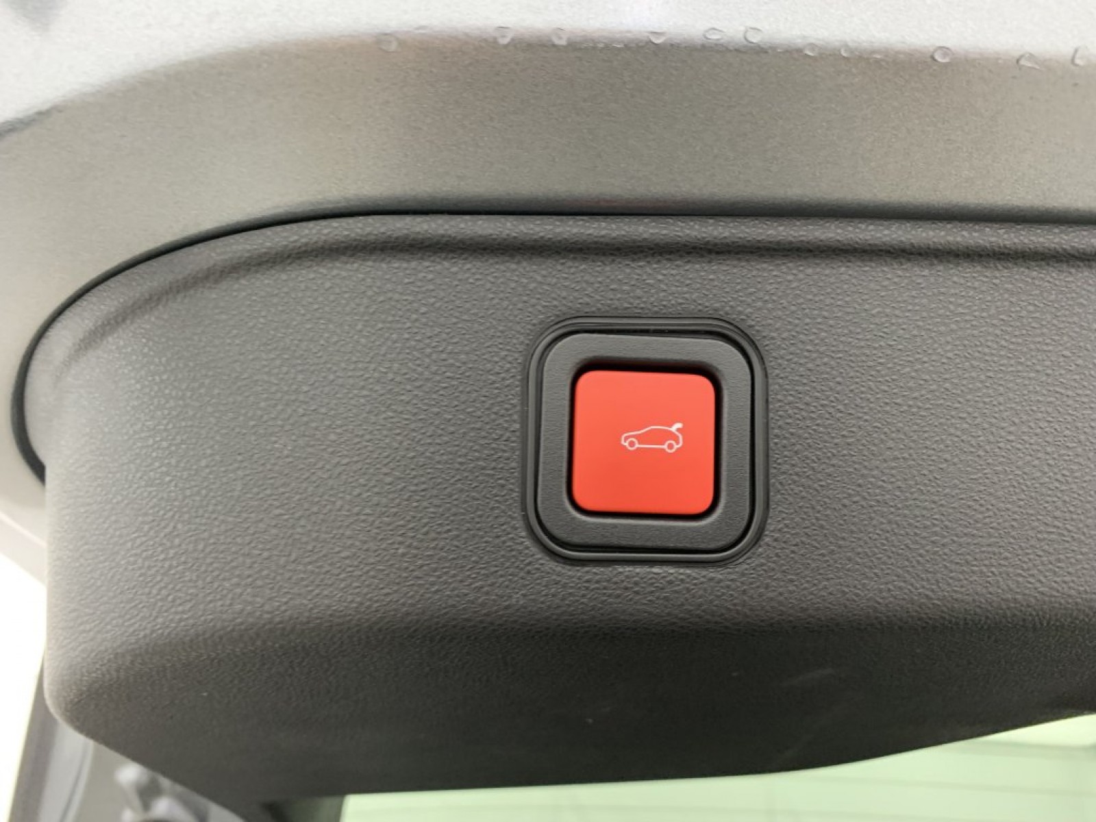 ALFA ROMEO - Junior - #839675 - 17