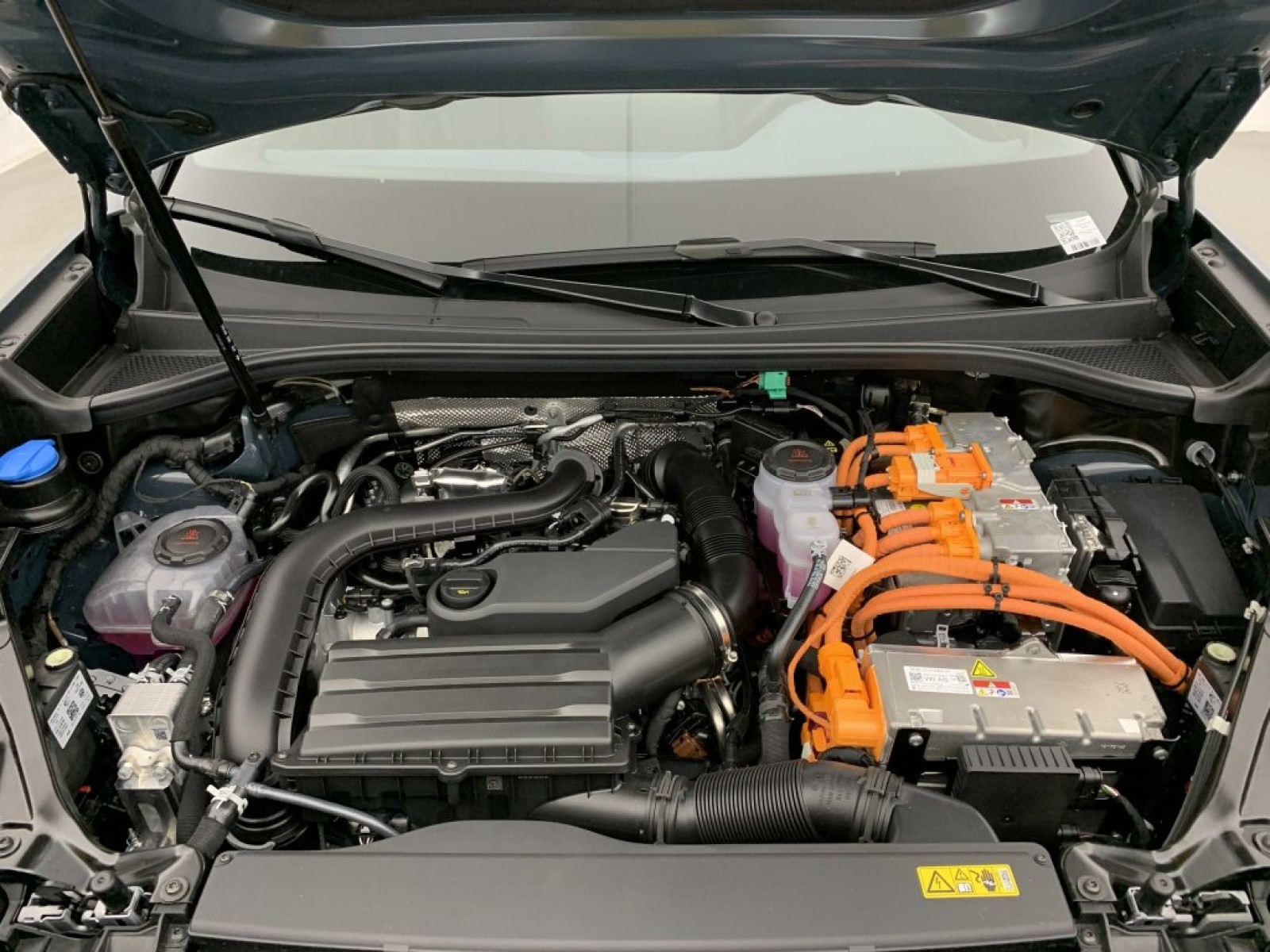 CUPRA - Terramar - #809200 - 24