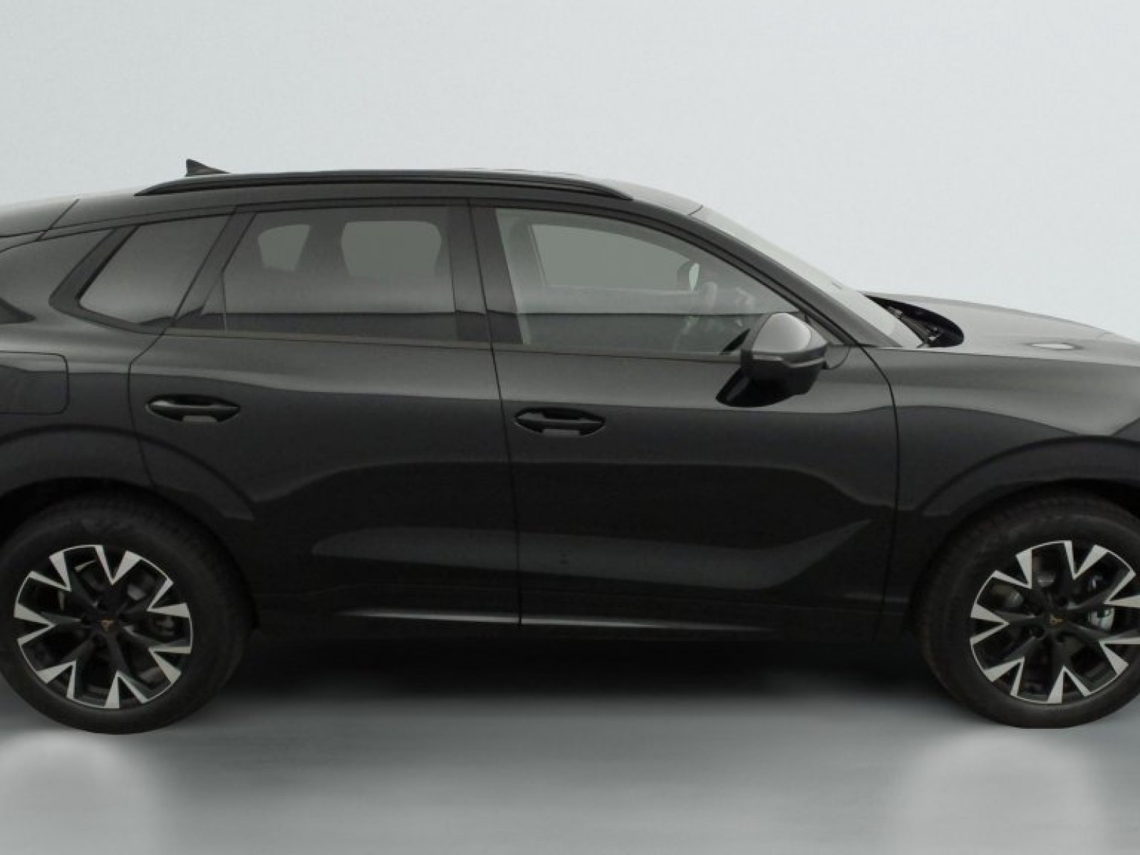 CUPRA - Terramar - #836506 - 14