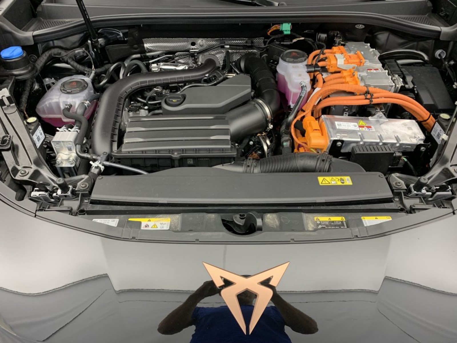 CUPRA - Terramar - #836506 - 22