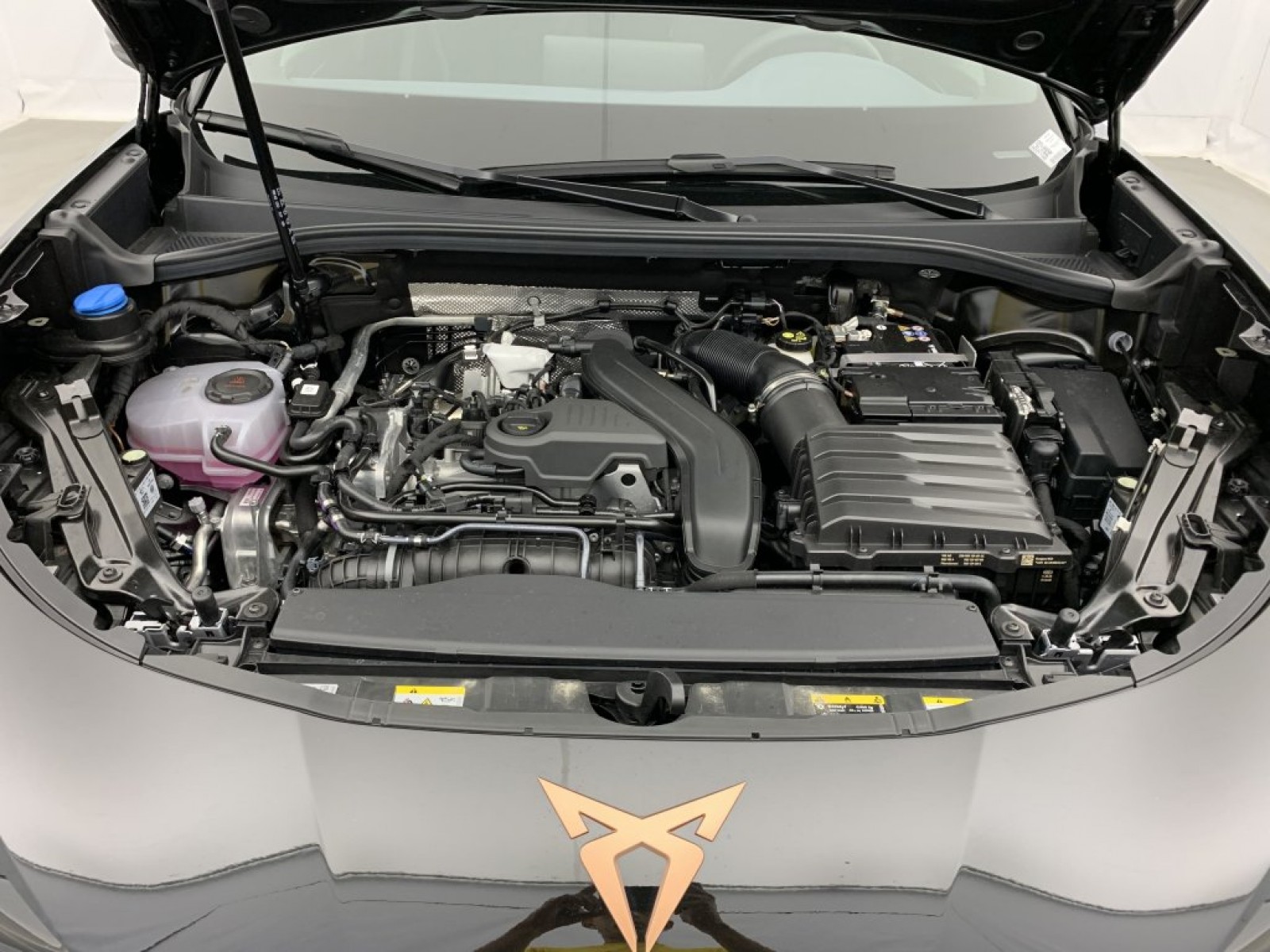 CUPRA - Terramar - #842633 - 25