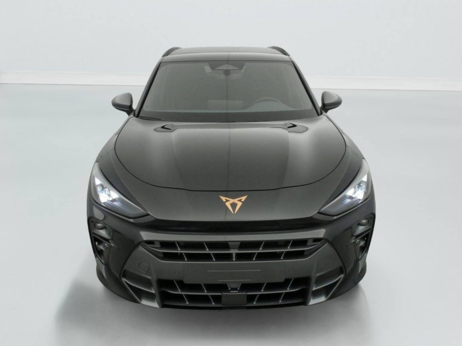 CUPRA - Terramar - #842632 - 2