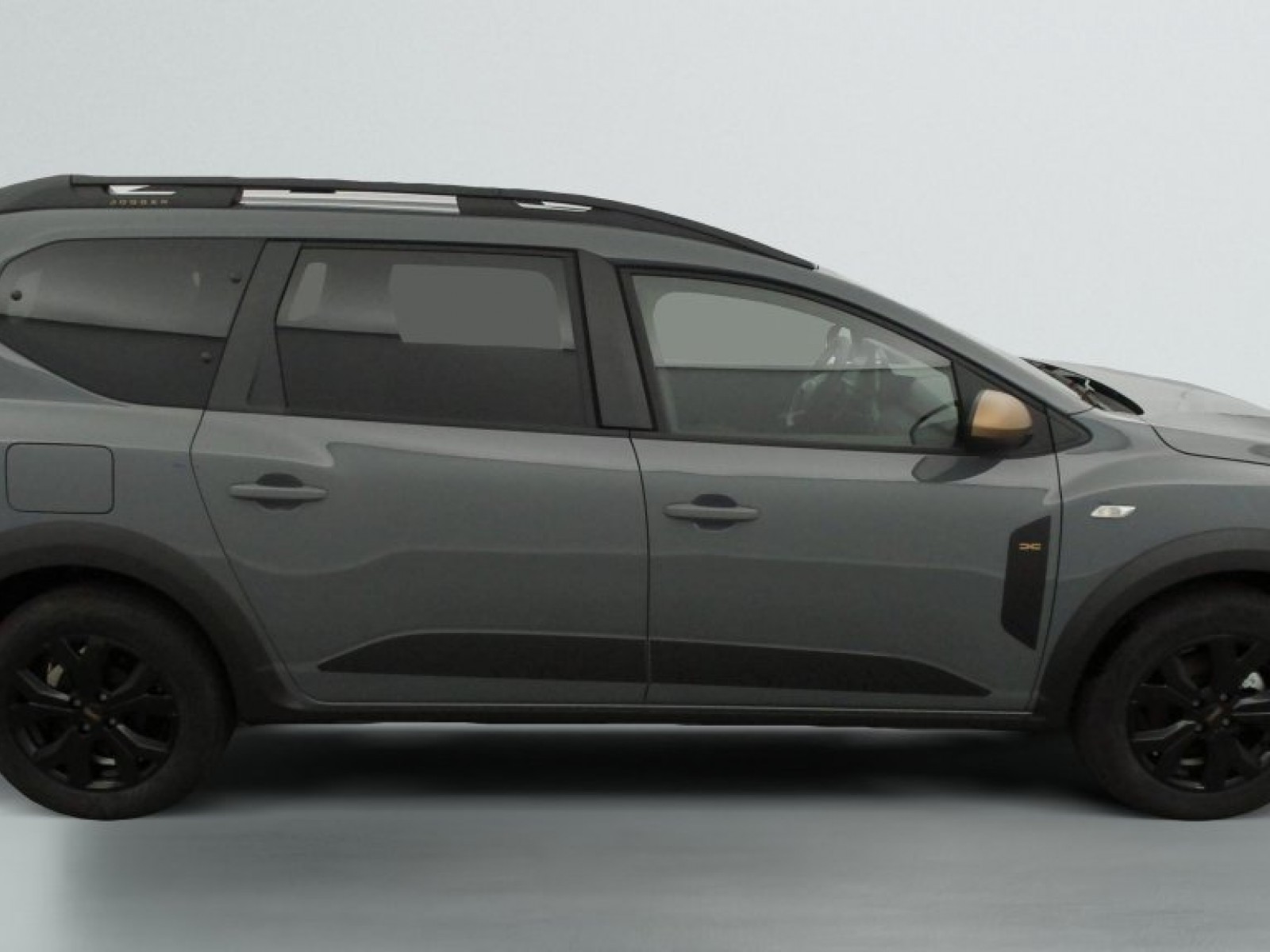 DACIA - Jogger - #842551 - 12