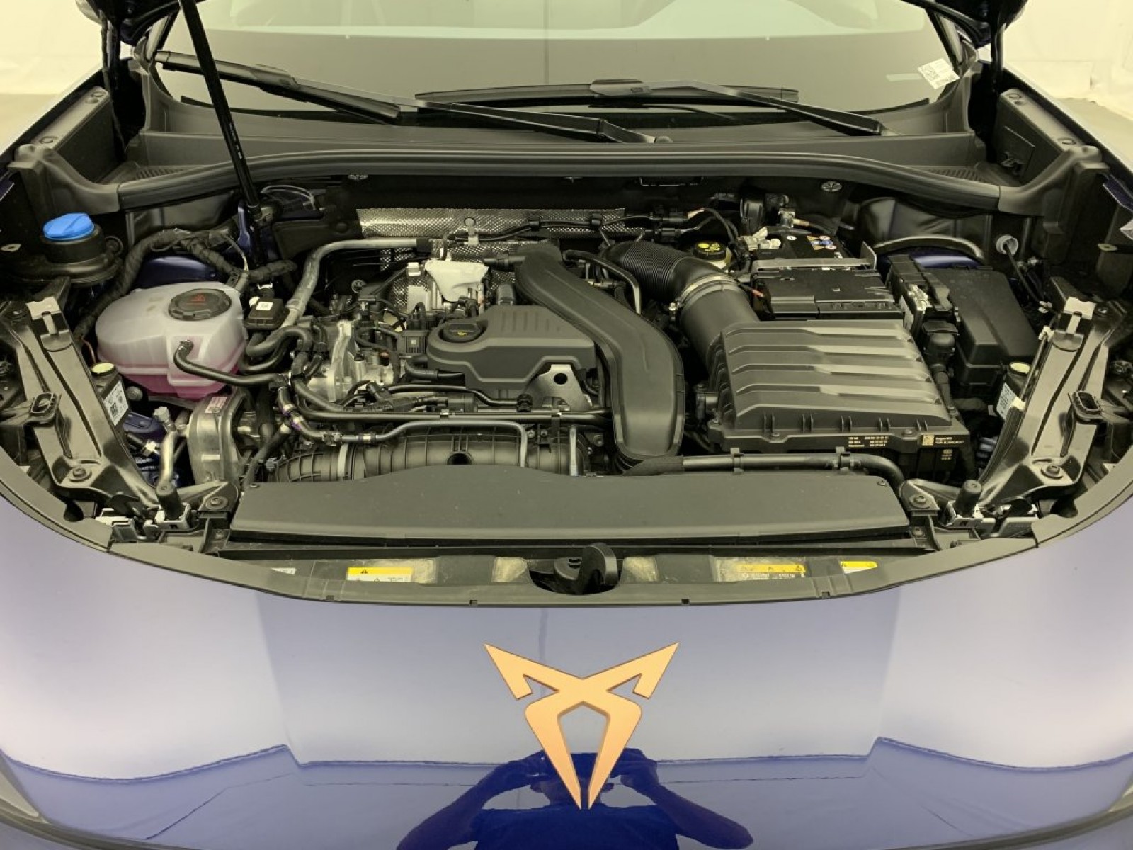 CUPRA - Terramar - #790876 - 20