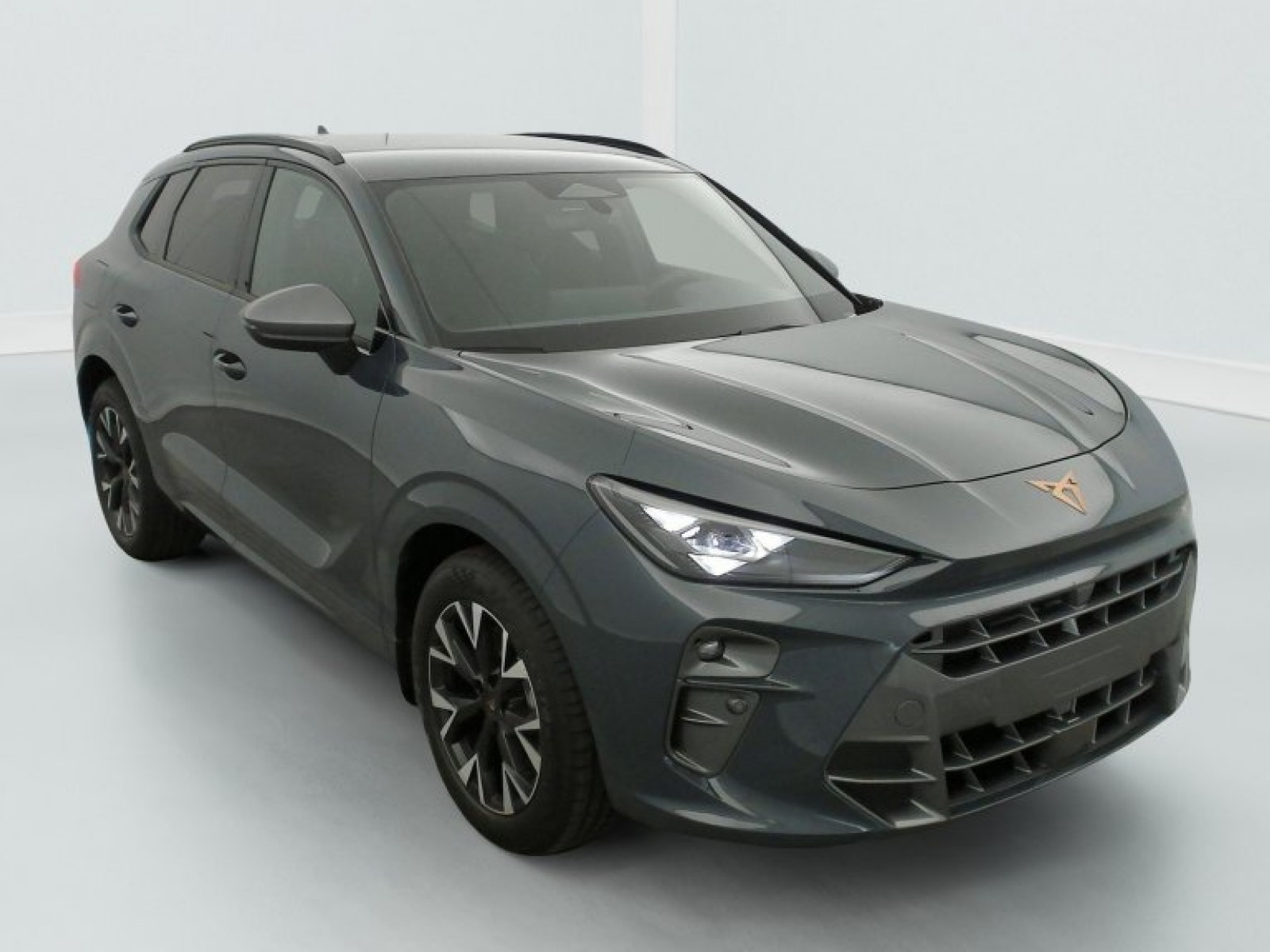 CUPRA - Terramar - #809200 - 0