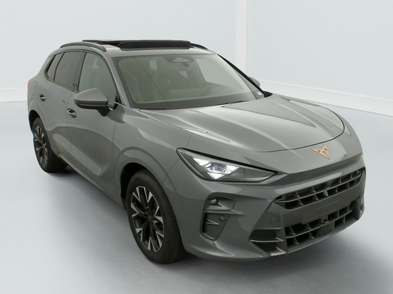CUPRA - Terramar - #839700 - 0