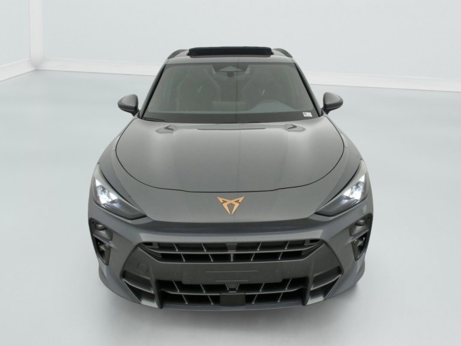 CUPRA - Terramar - #839700 - 1