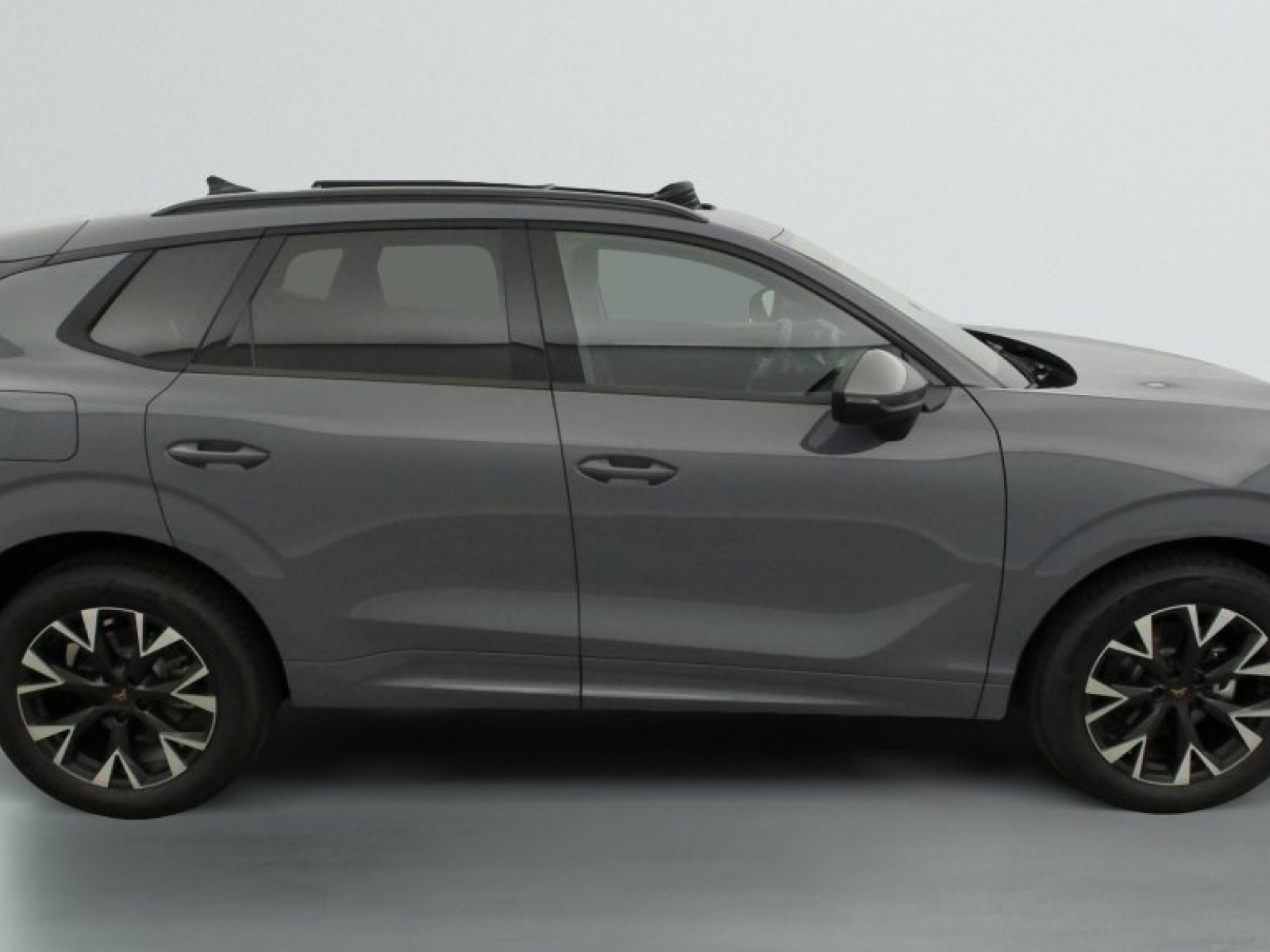 CUPRA - Terramar - #839700 - 7