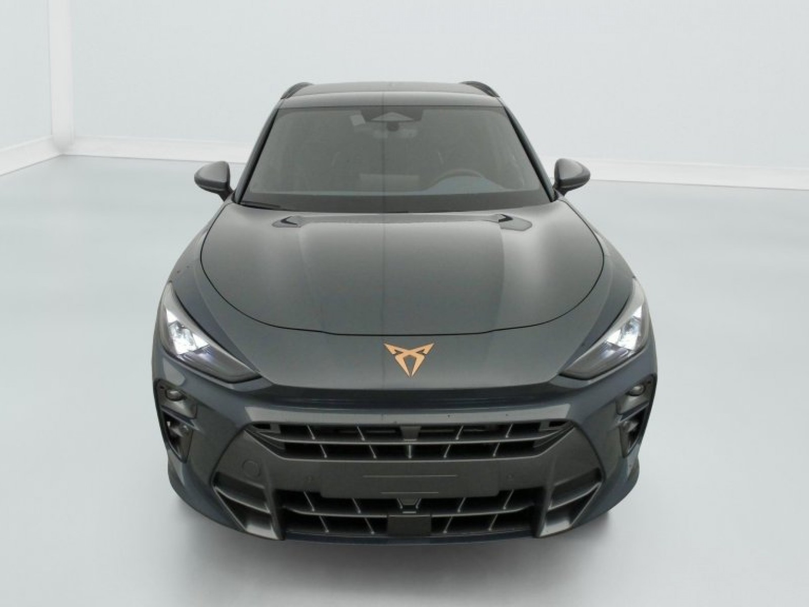 CUPRA - Terramar - #839746 - 1