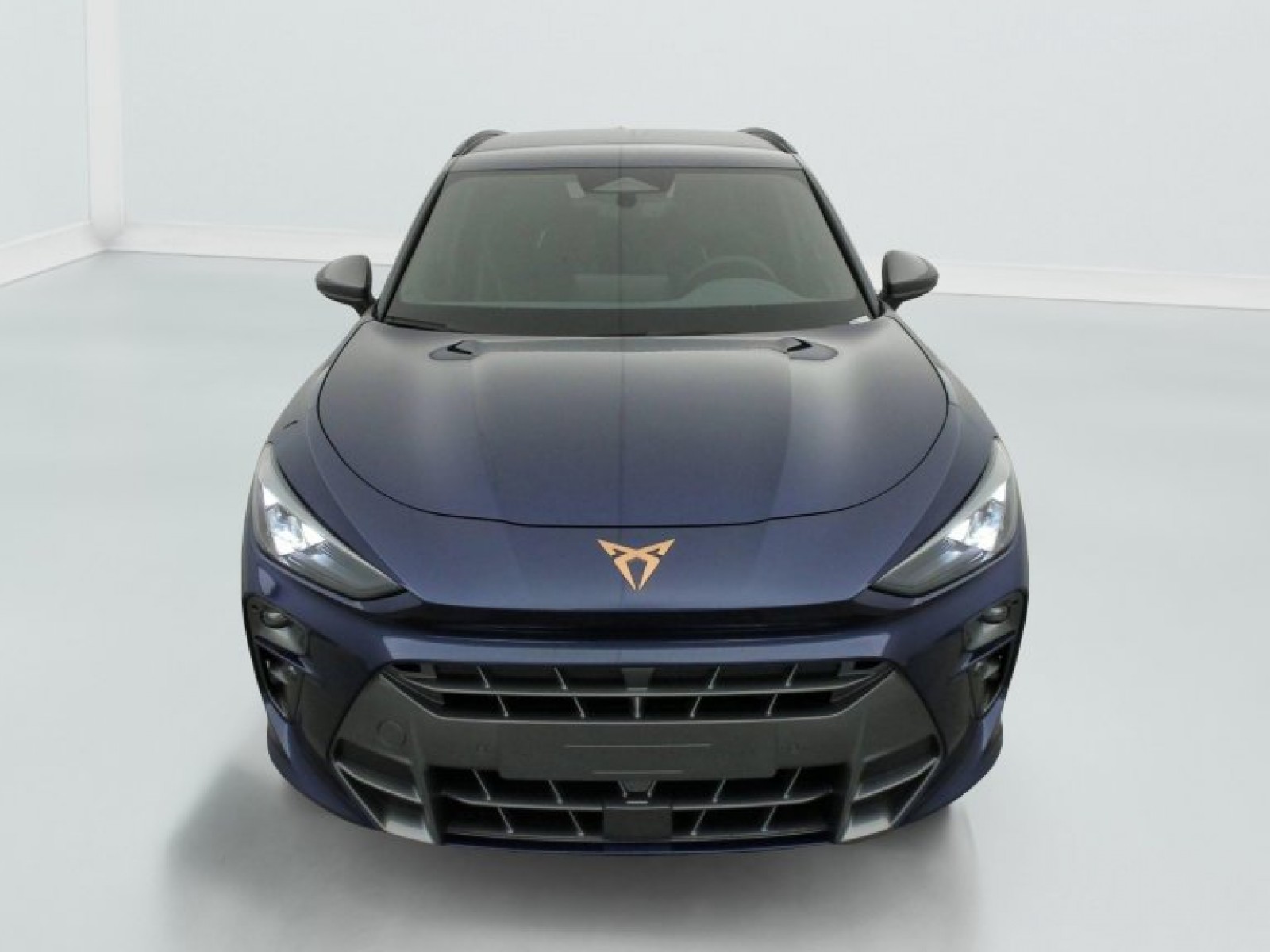 CUPRA - Terramar - #790876 - 2