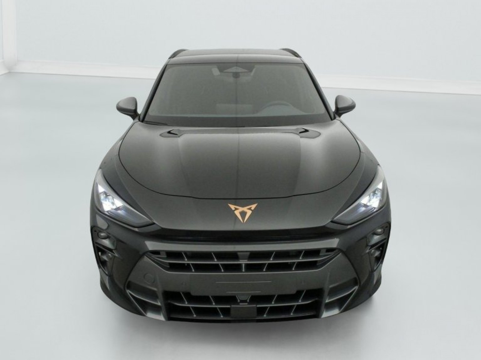 CUPRA - Terramar - #842631 - 3