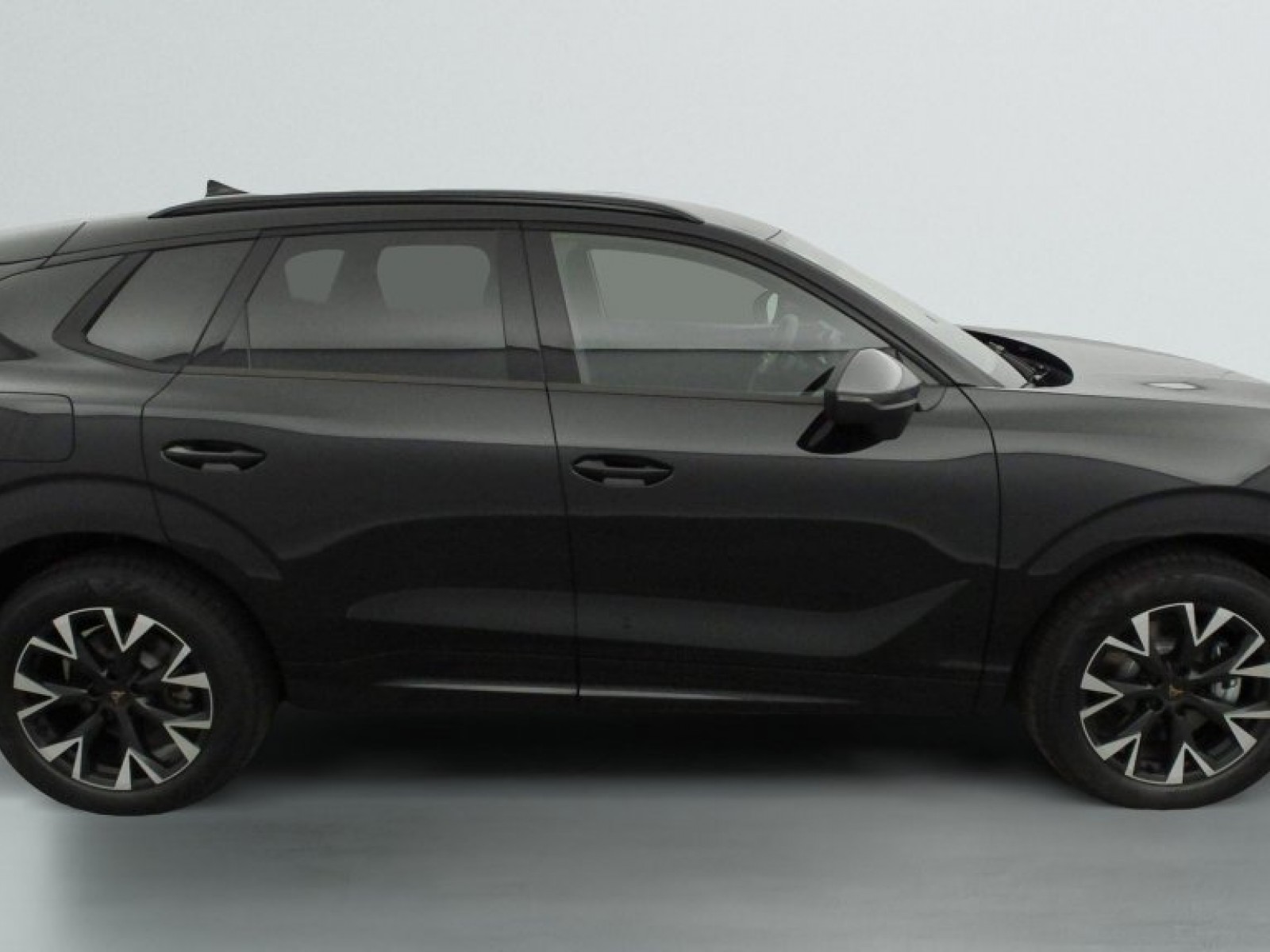 CUPRA - Terramar - #842631 - 12