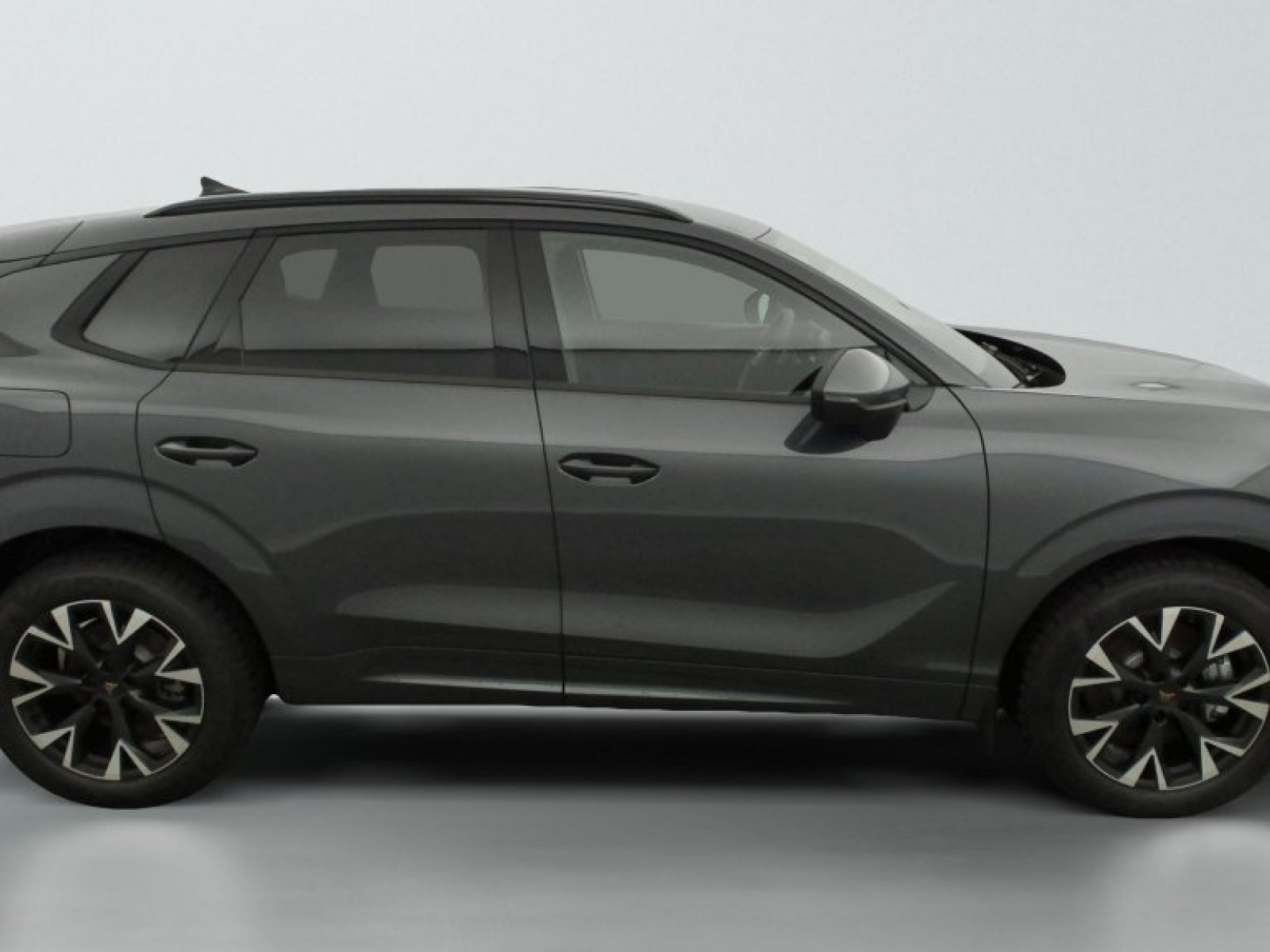 CUPRA - Terramar - #846186 - 11