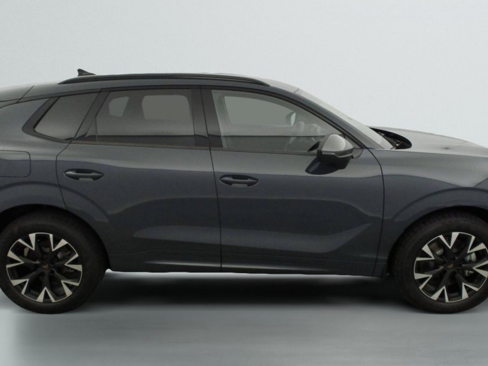 CUPRA - Terramar - #809200 - 14