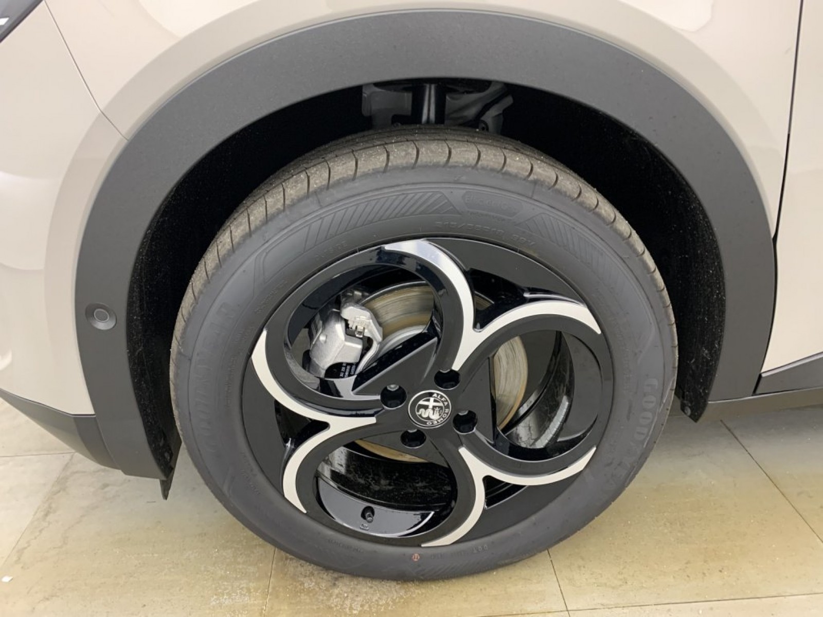 ALFA ROMEO - Junior - #846395 - 19